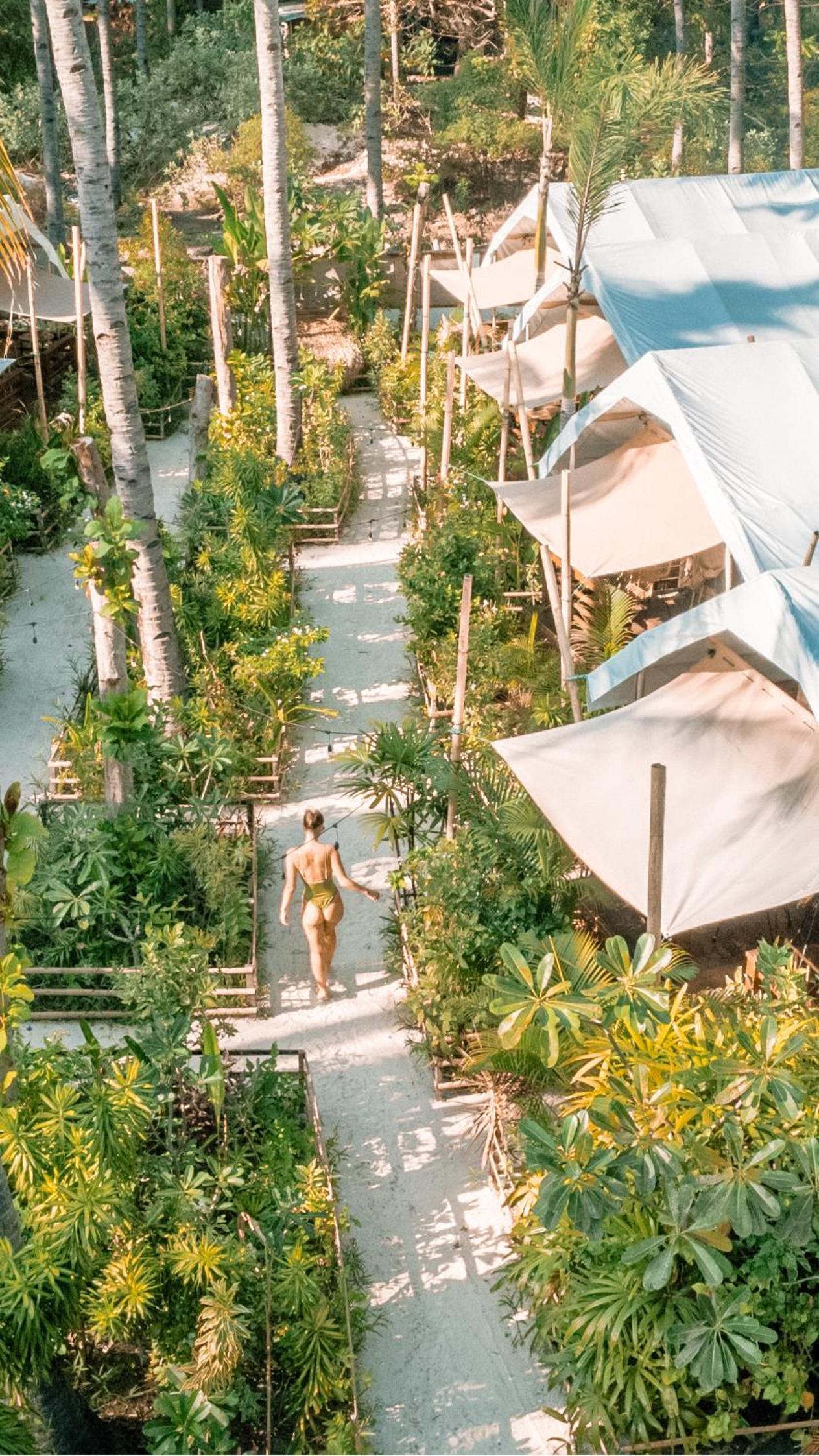 La Cocoteraie Ecolodge - Luxury Glamping Tents view 2