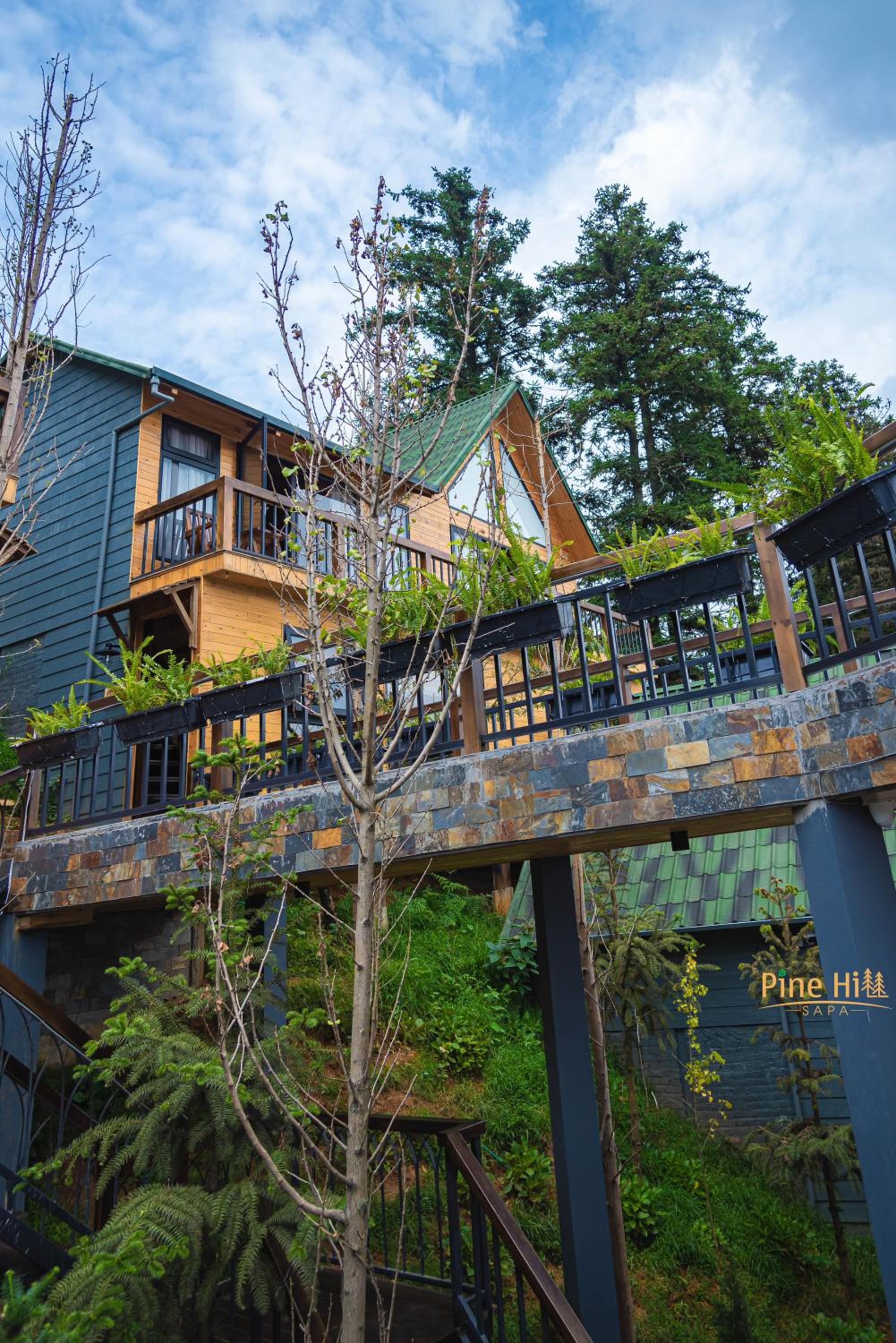 Sapa Pine Hill Eco Lodge view 4