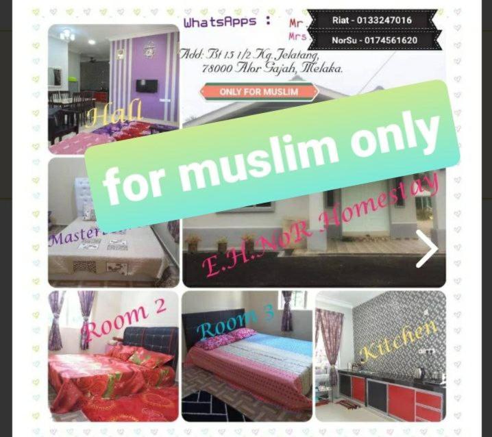 Nor Su Homestay photo 1