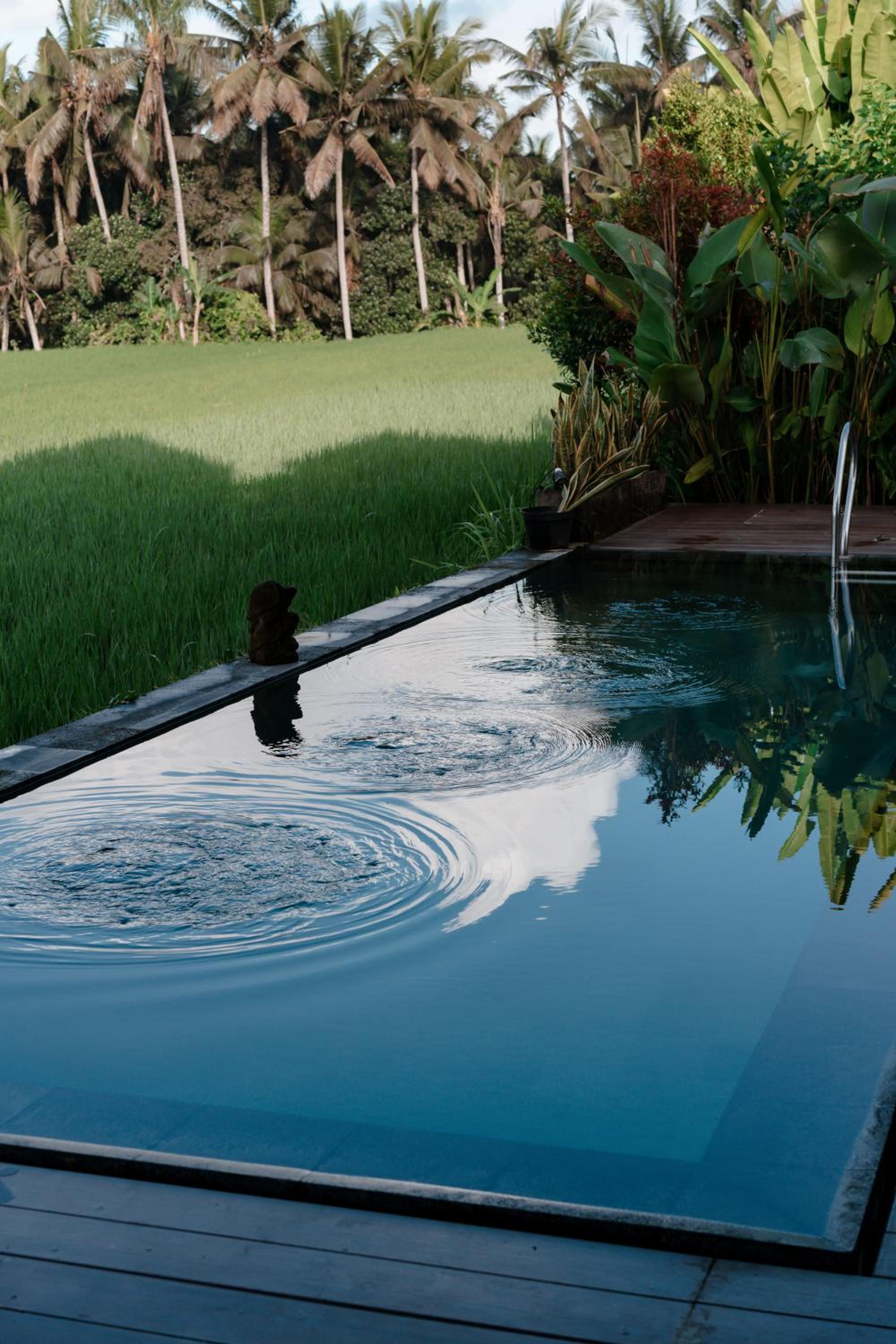 Casa Avana, Ubud - 24