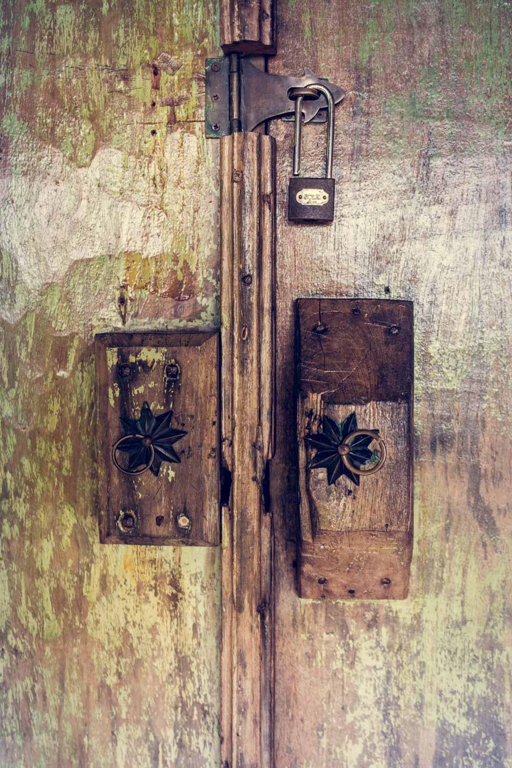 Dragonfly Village