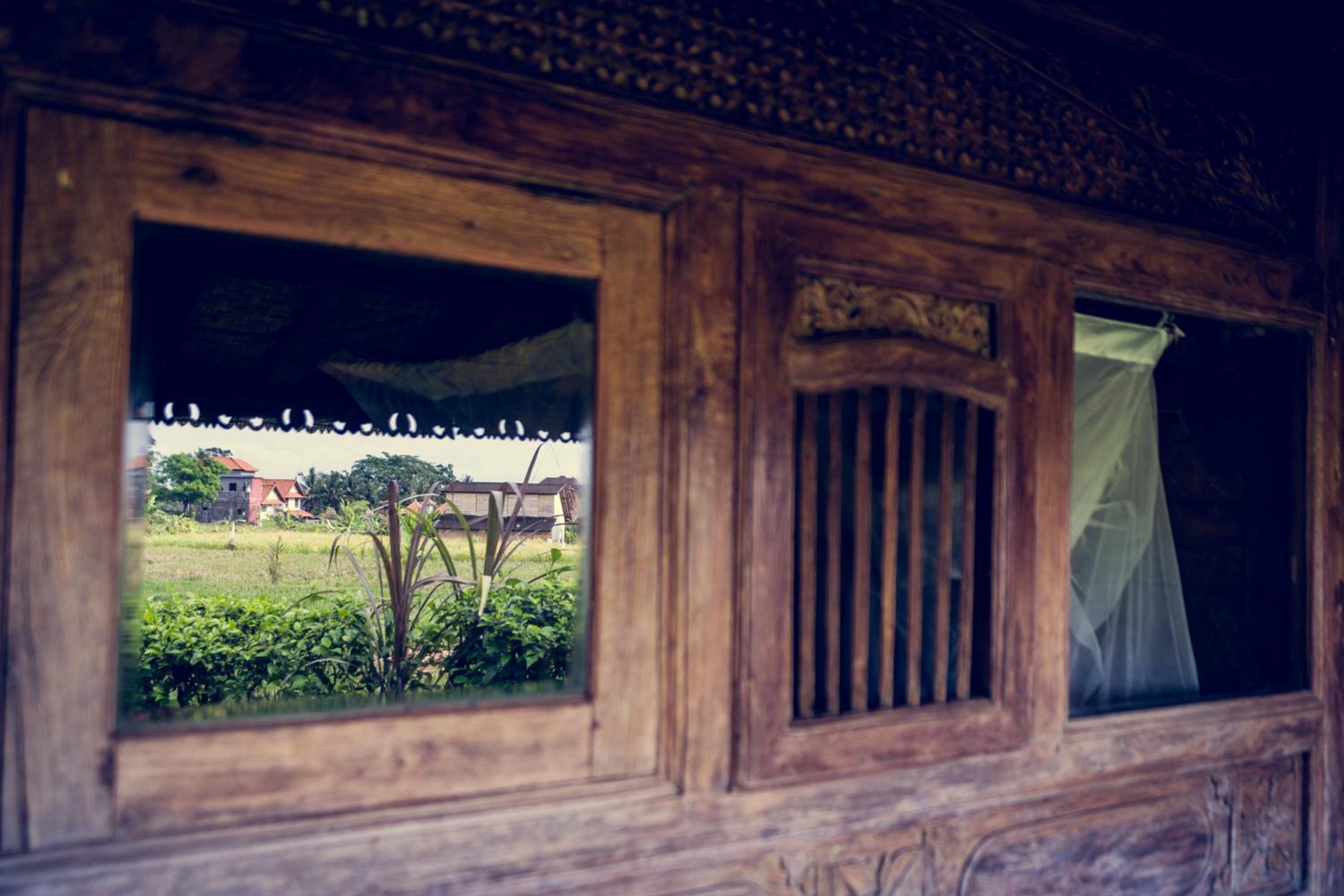 Dragonfly Village