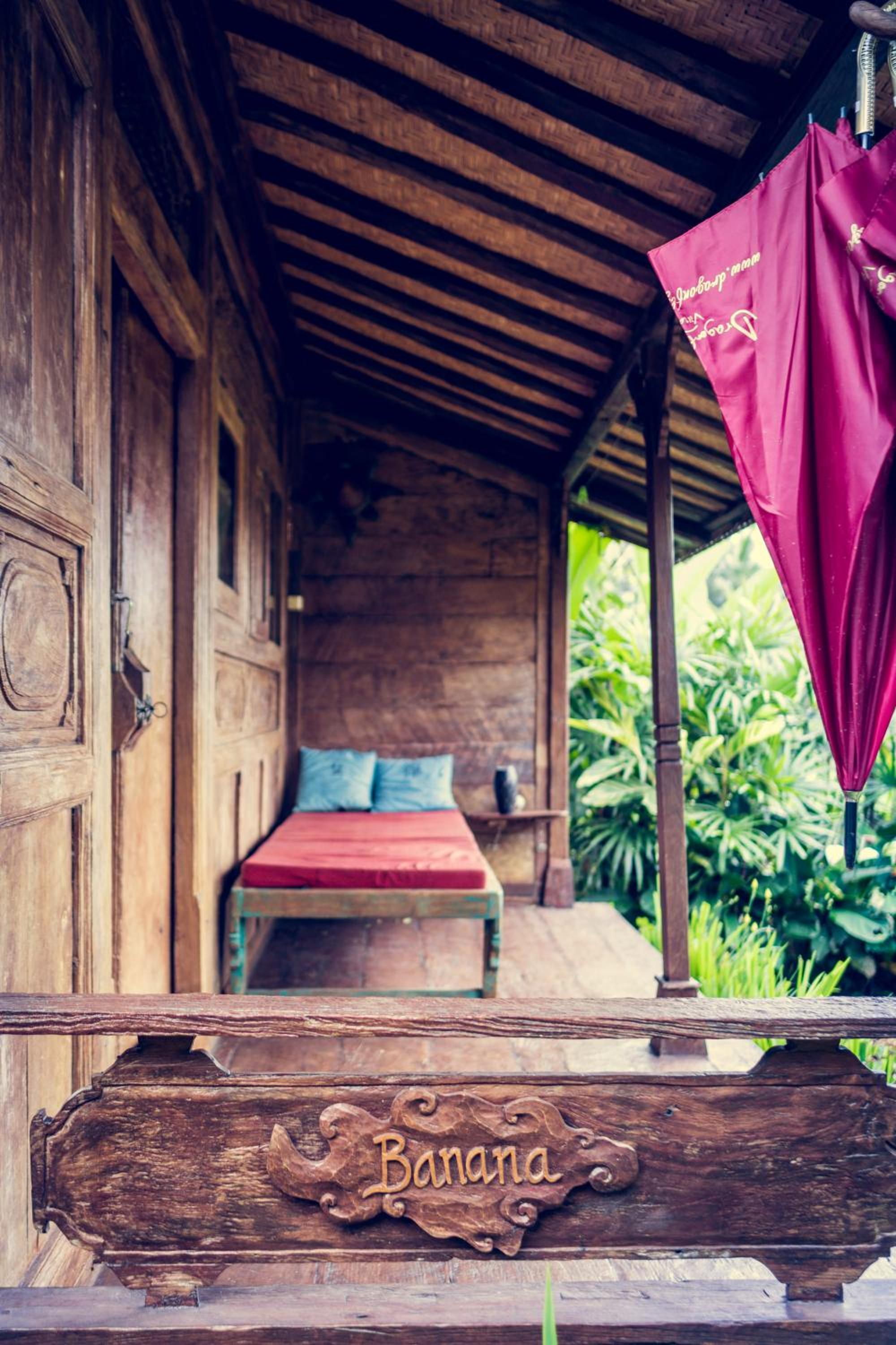 Dragonfly Village