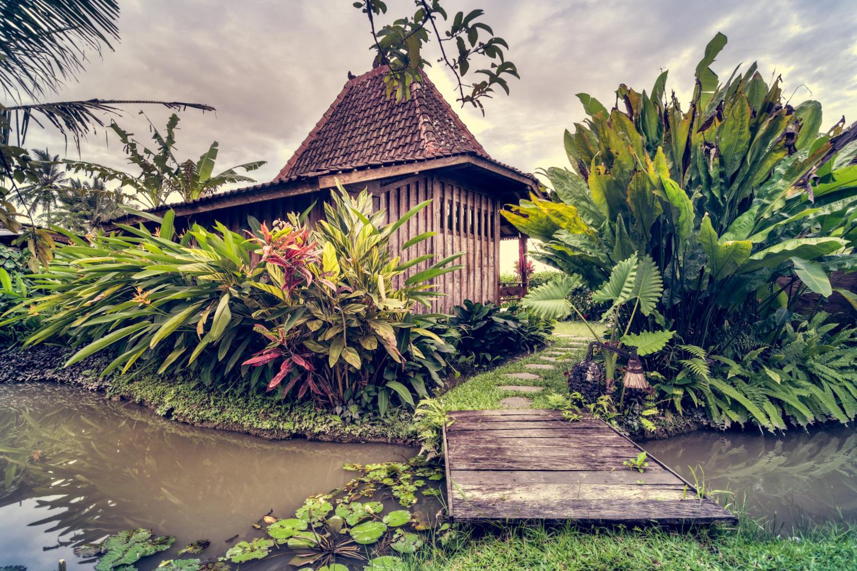 Dragonfly Village