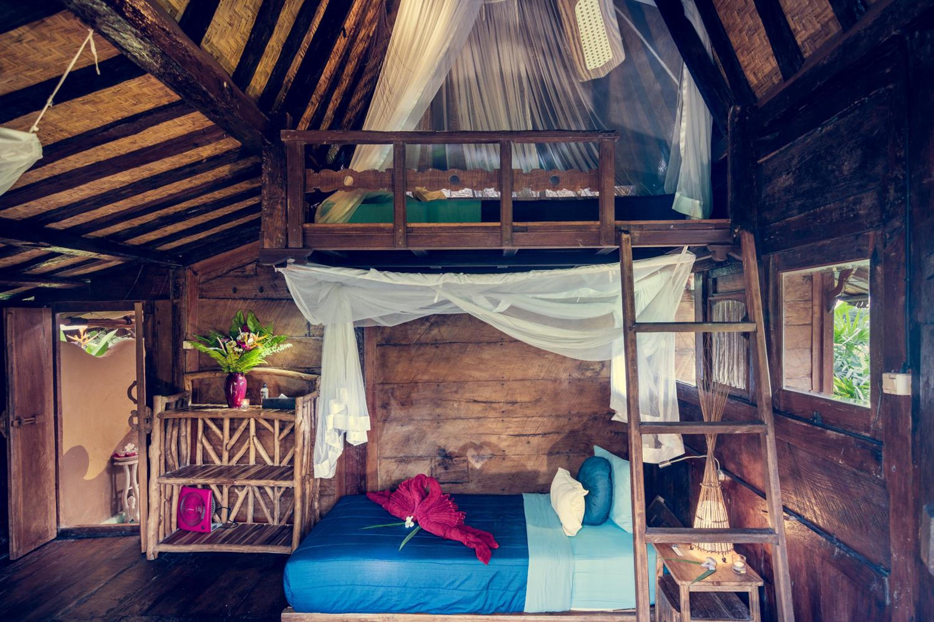 Dragonfly Village
