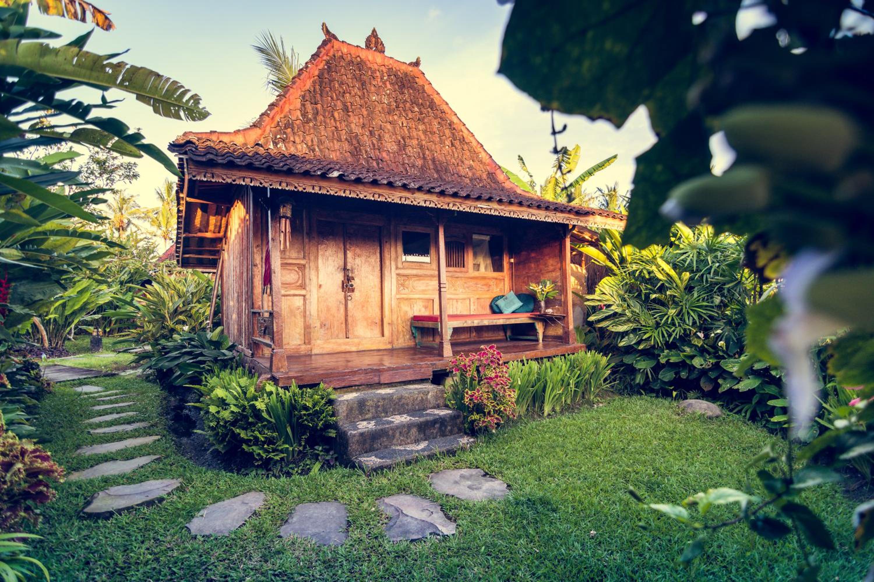 Dragonfly Village