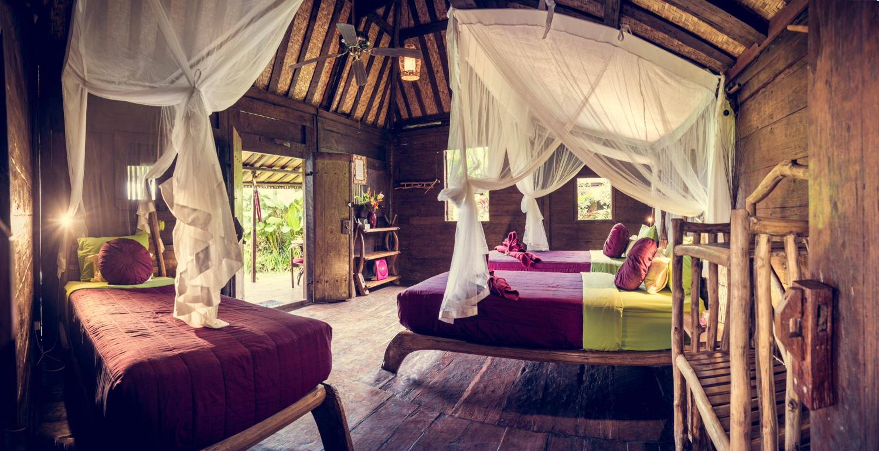 Dragonfly Village
