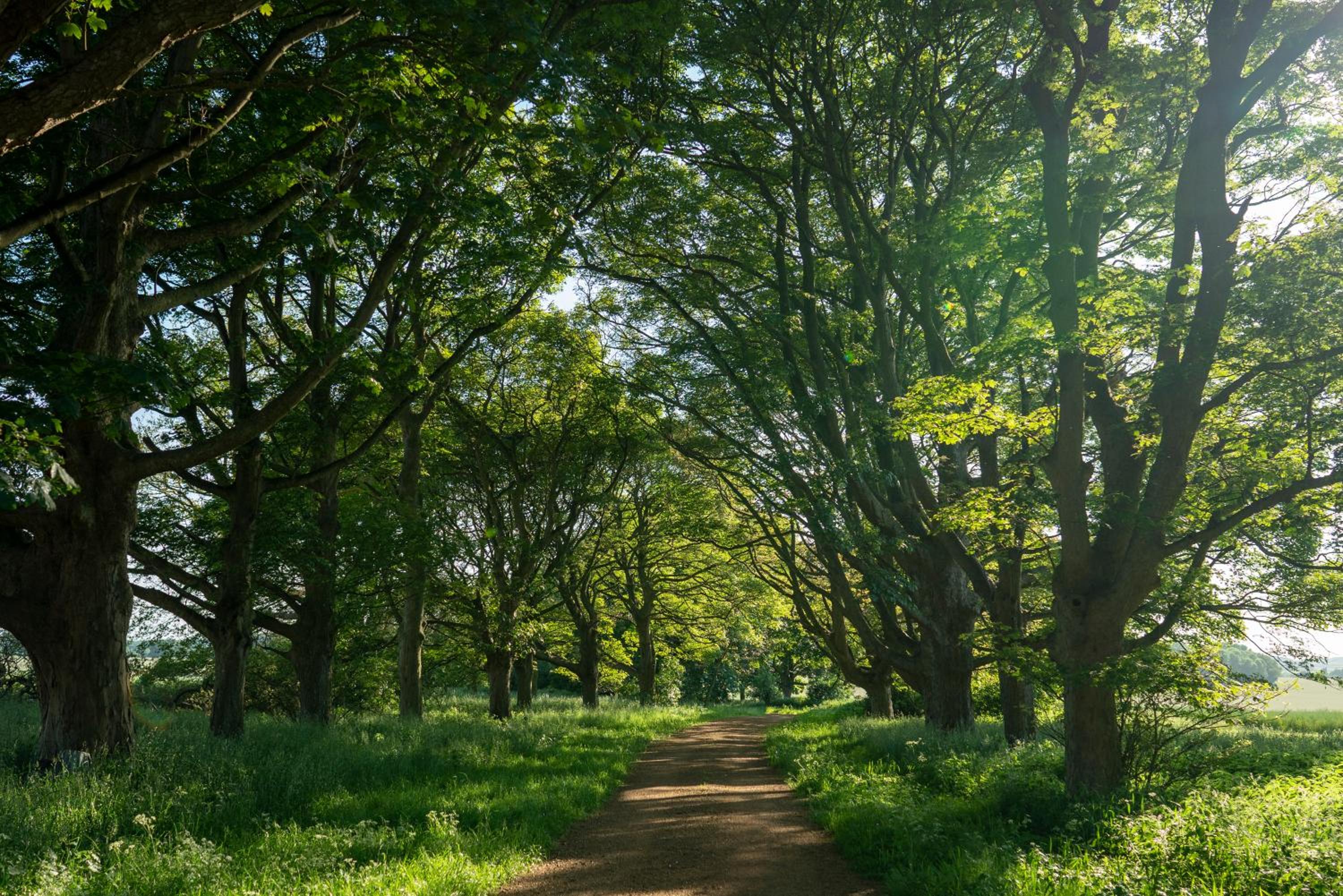 other