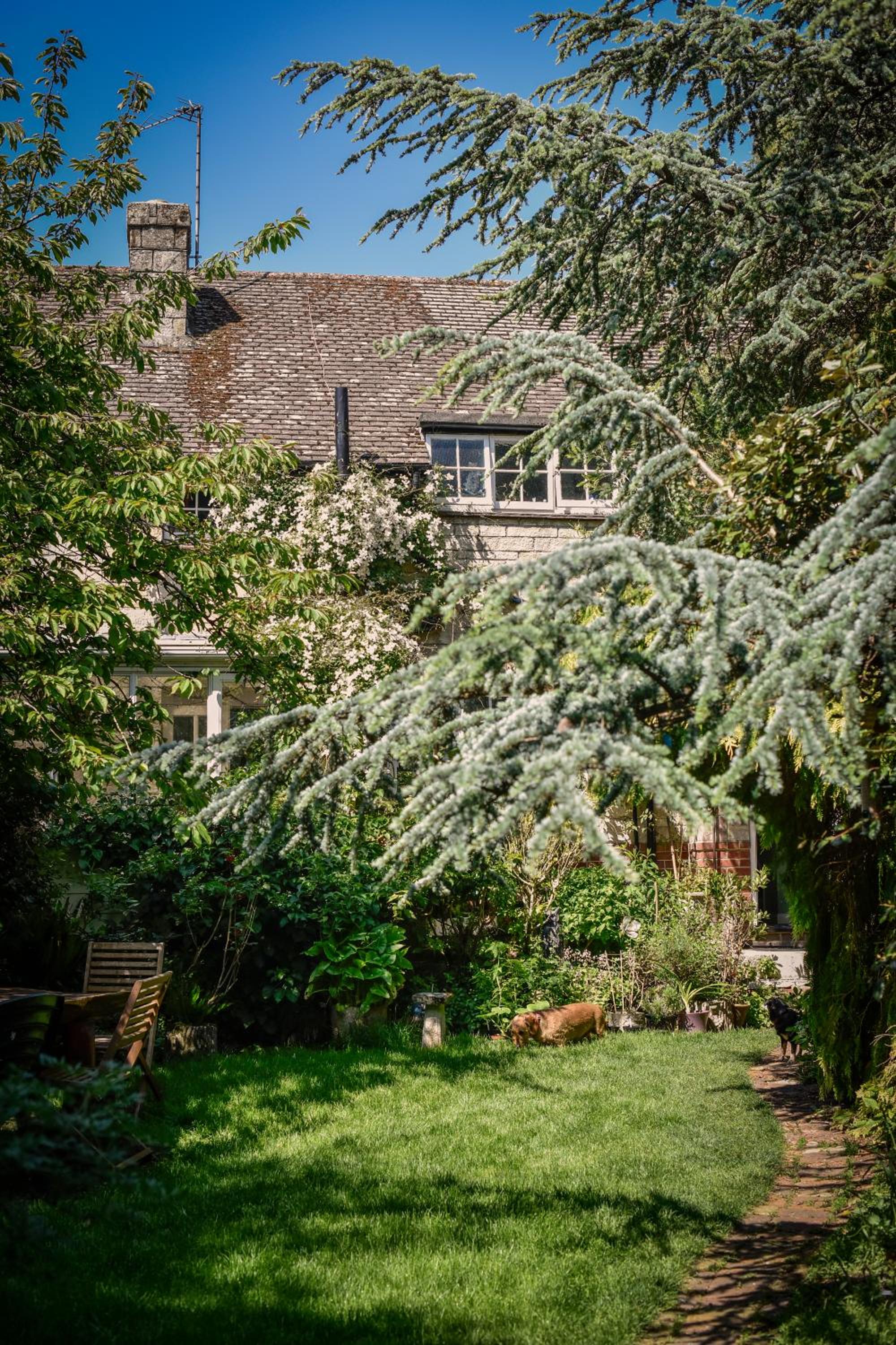 Ward Avenue B&B