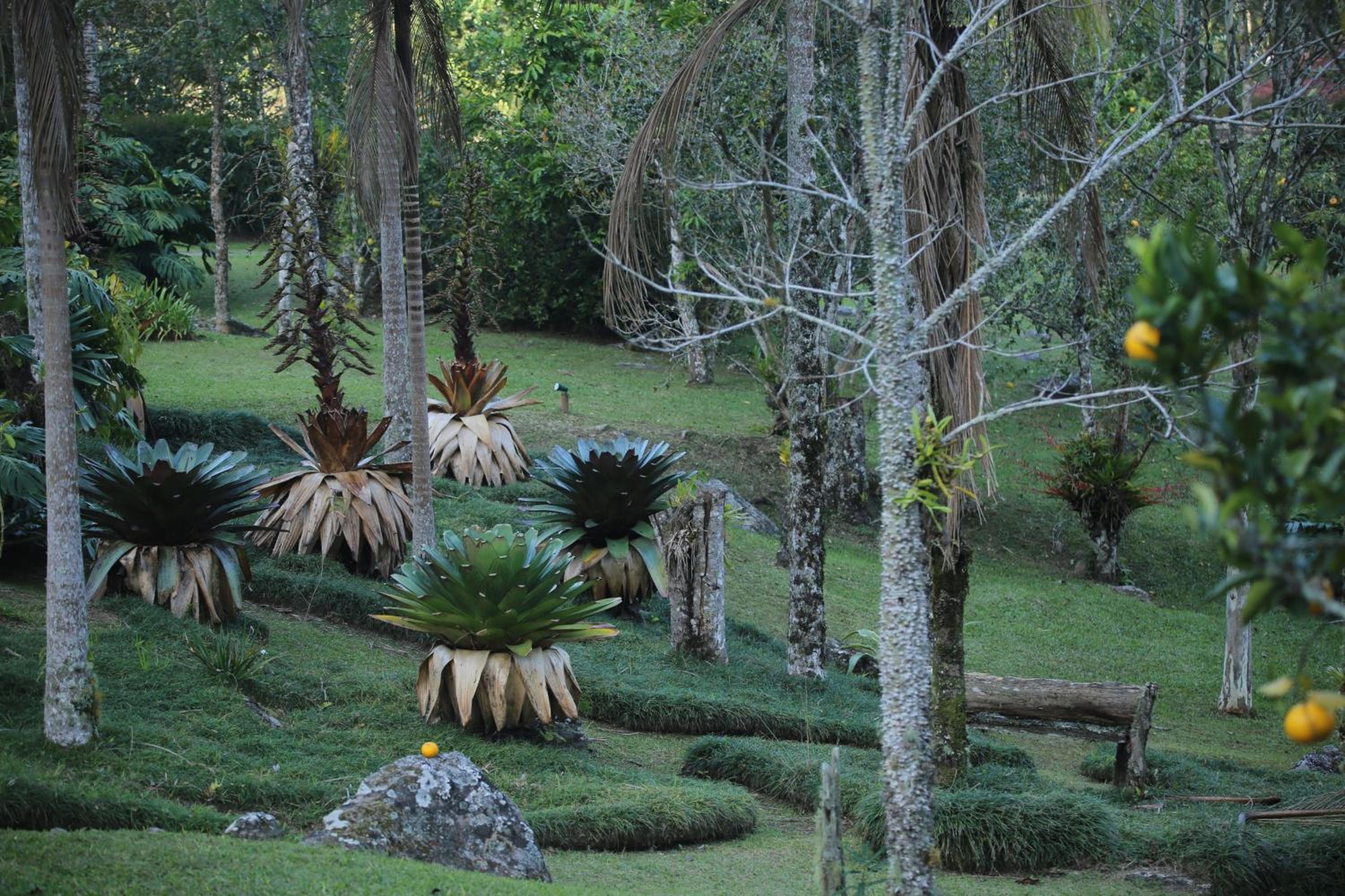 Sítio Sanandu - Conforto no Paraíso Ecológico de Macaé de Cima