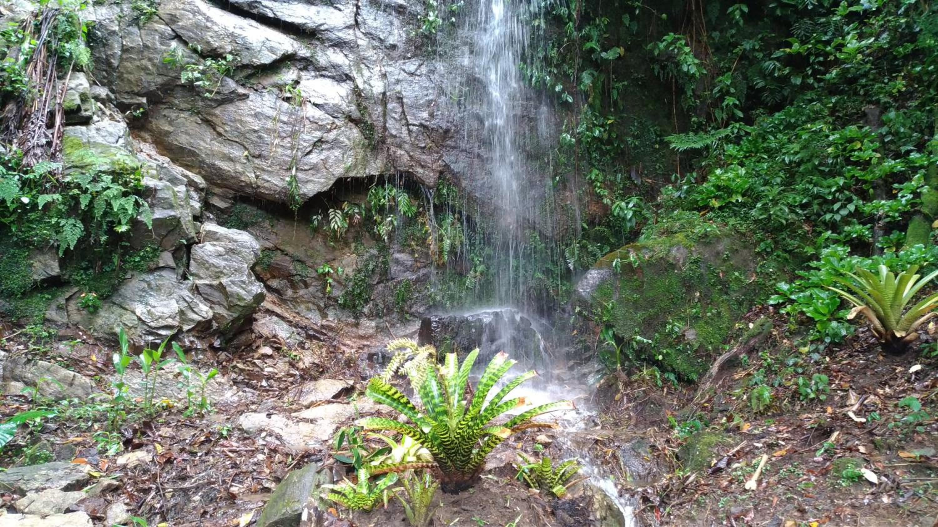 Sítio Sanandu - Conforto no Paraíso Ecológico de Macaé de Cima
