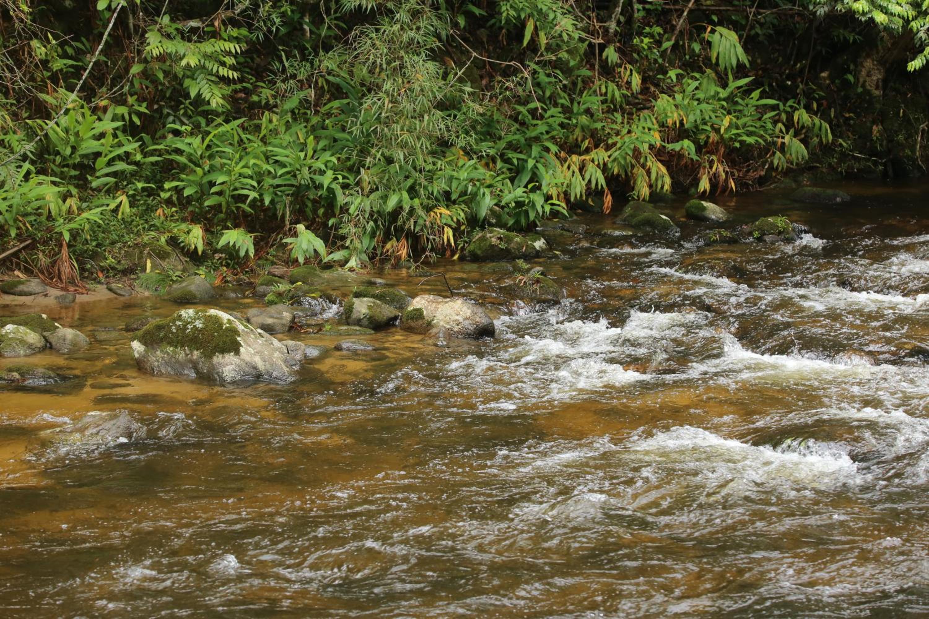 Sítio Sanandu - Conforto no Paraíso Ecológico de Macaé de Cima