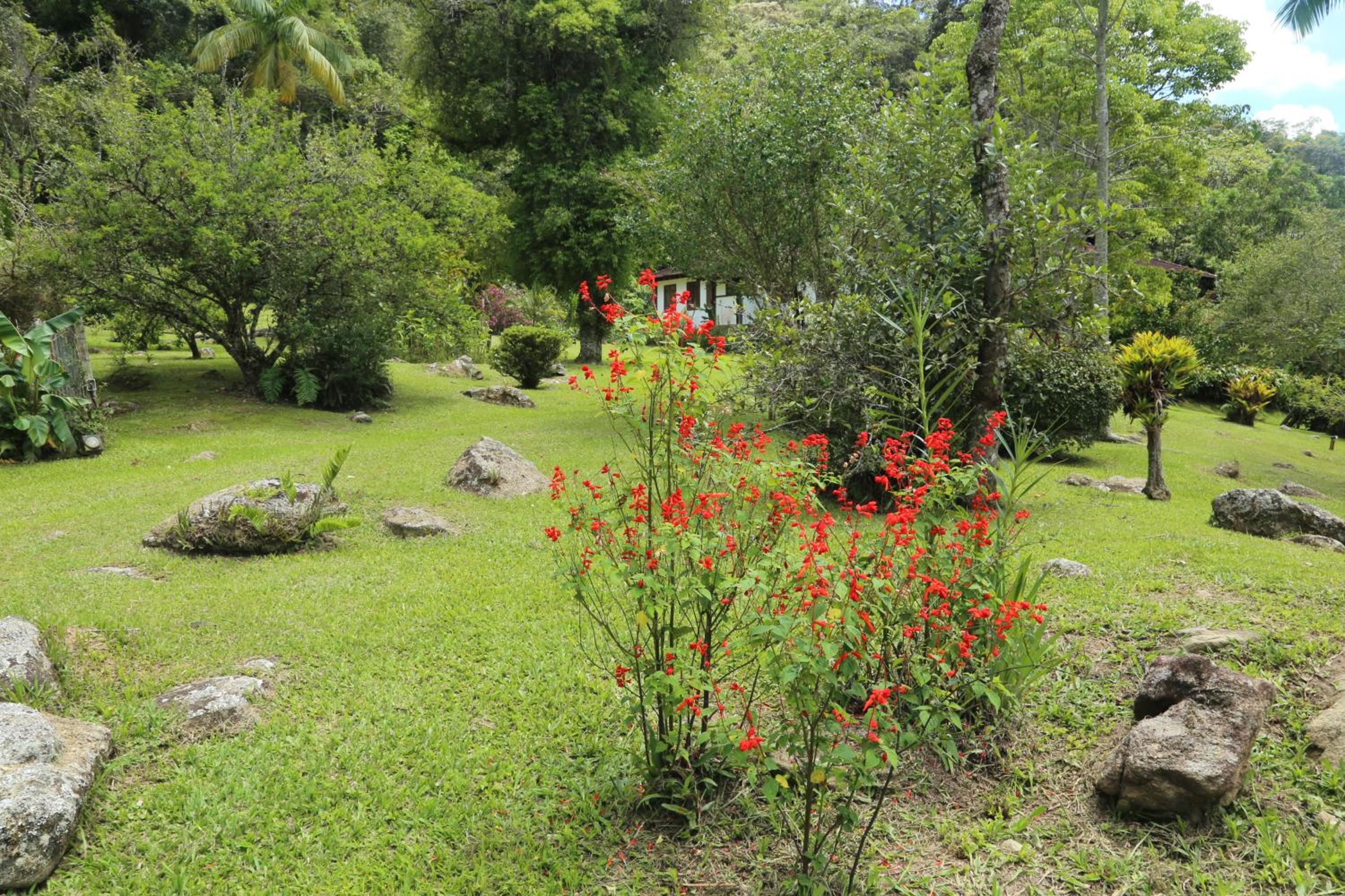 Sítio Sanandu - Conforto no Paraíso Ecológico de Macaé de Cima