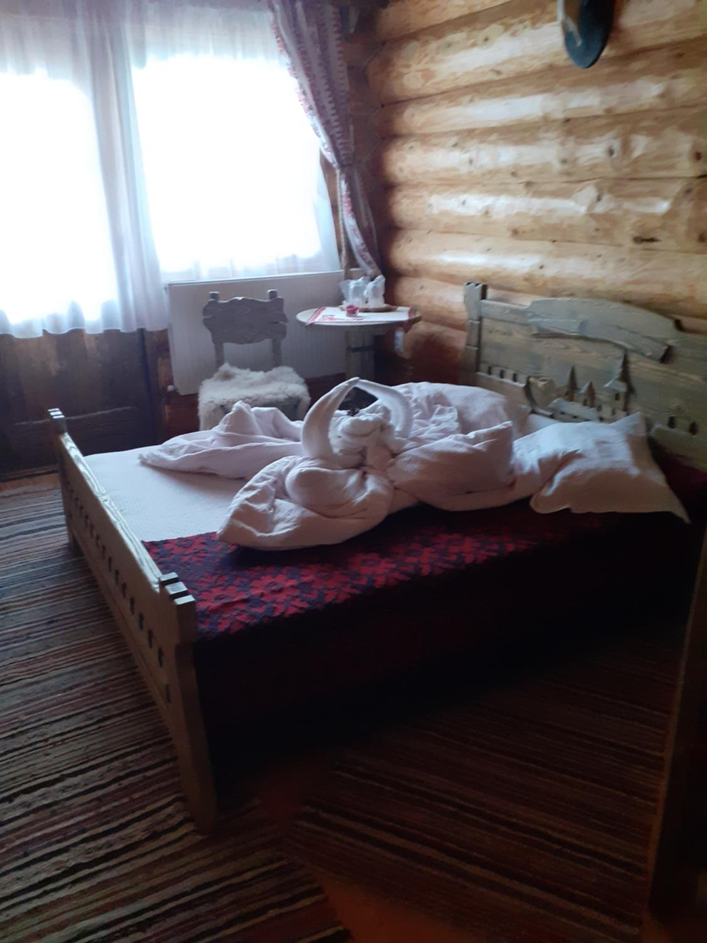 Photo 51