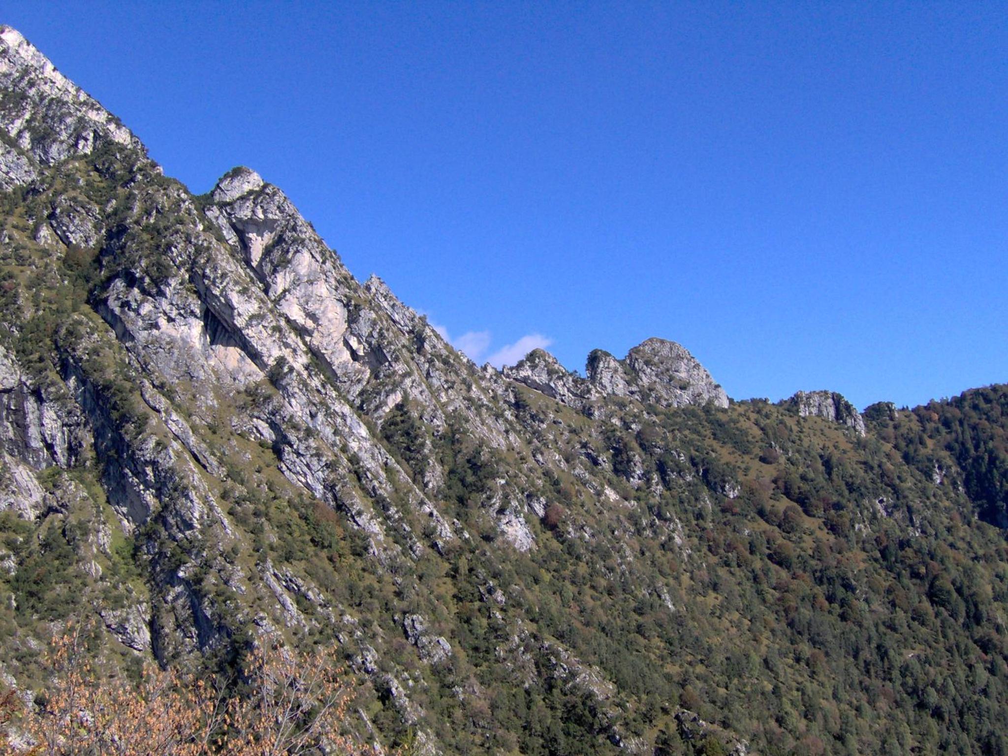Photo 30