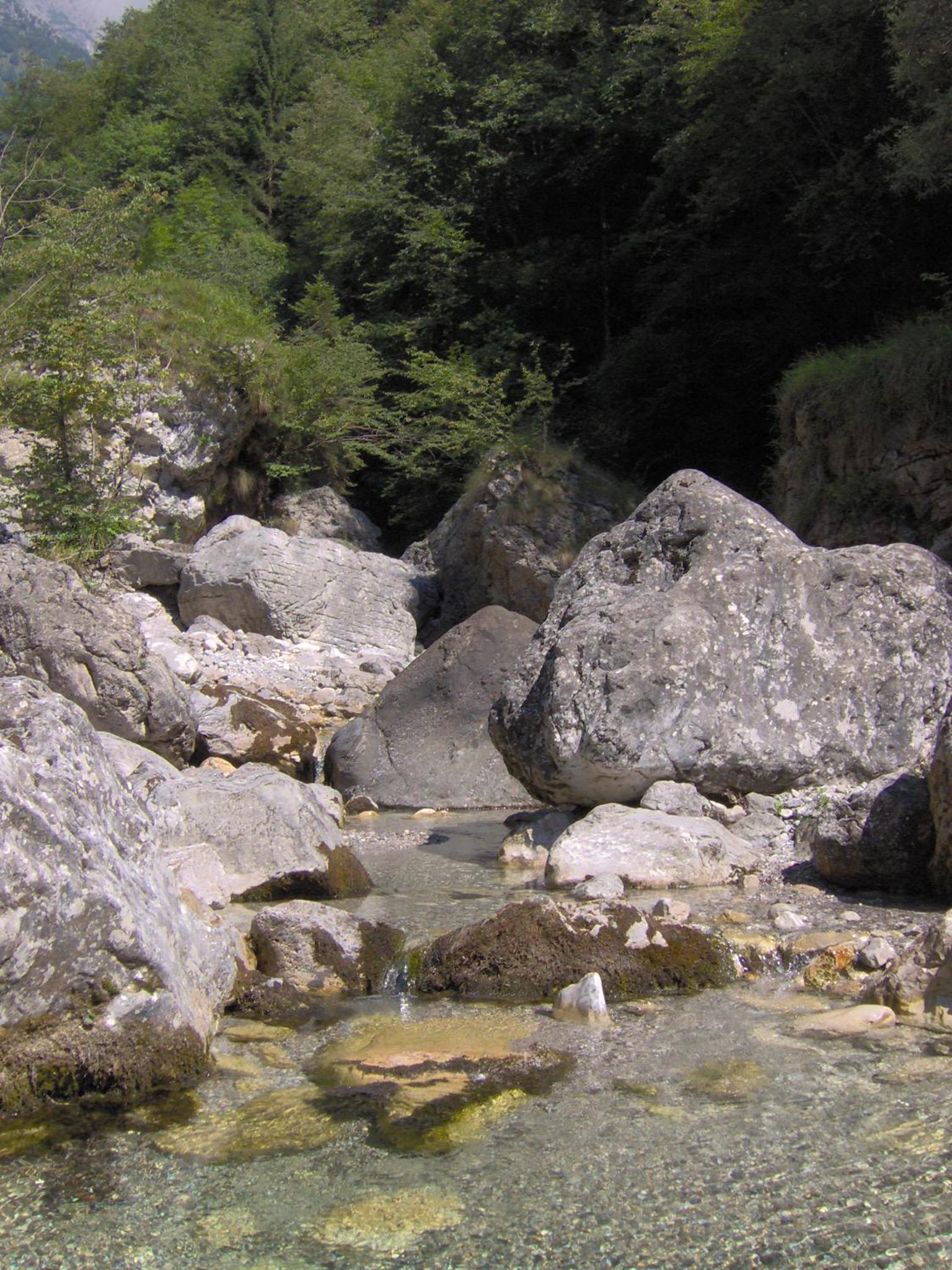 Photo 36