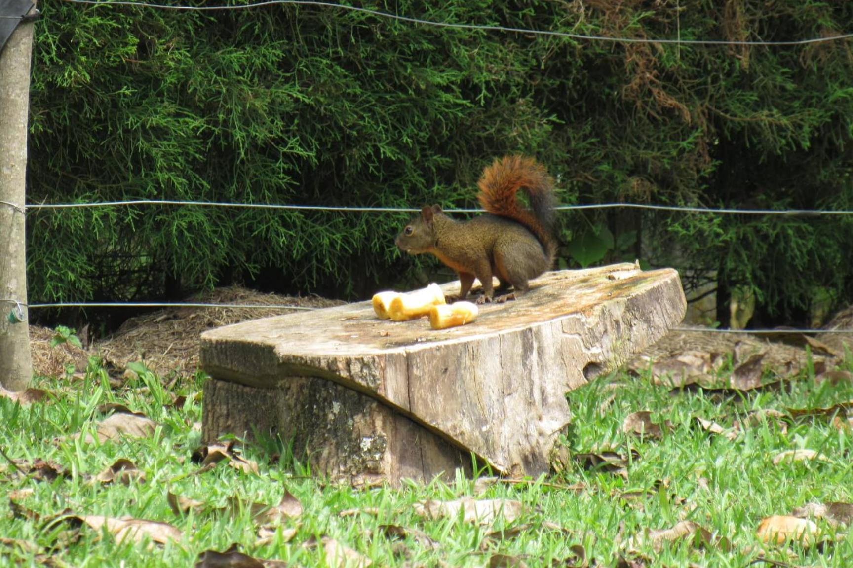 Casa Campo Valle De Cocora