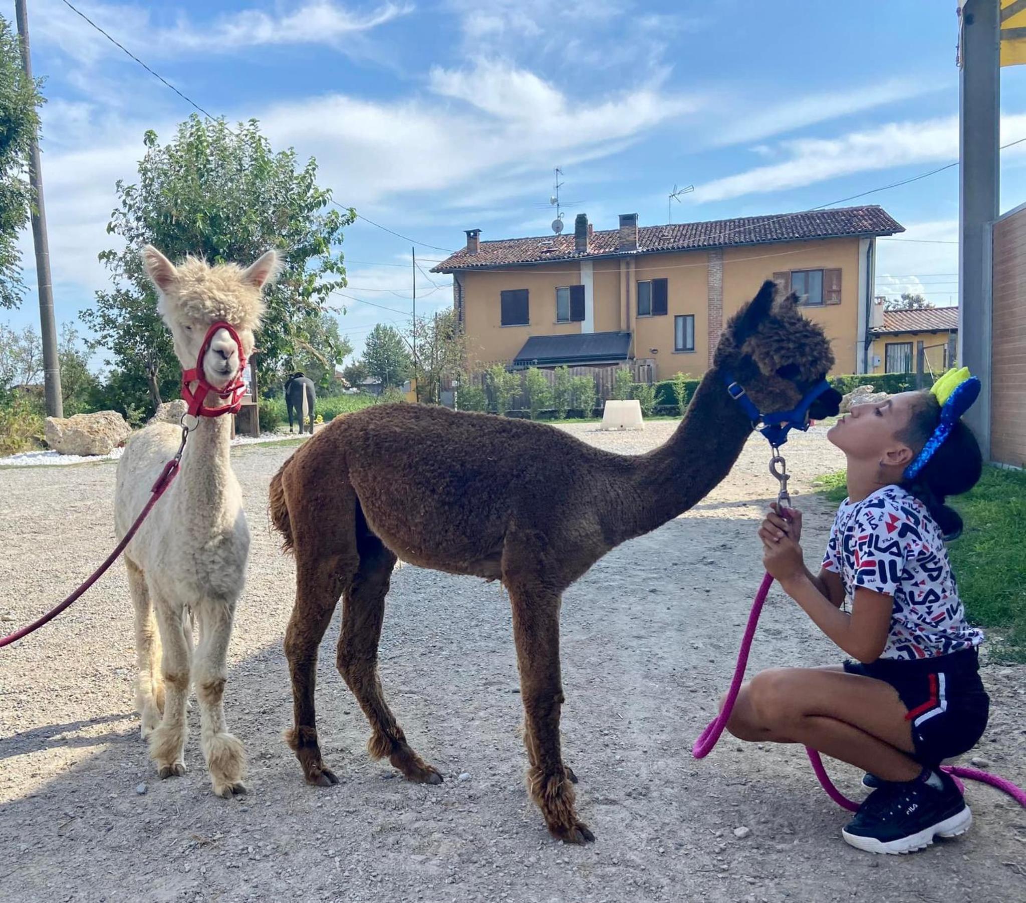 human