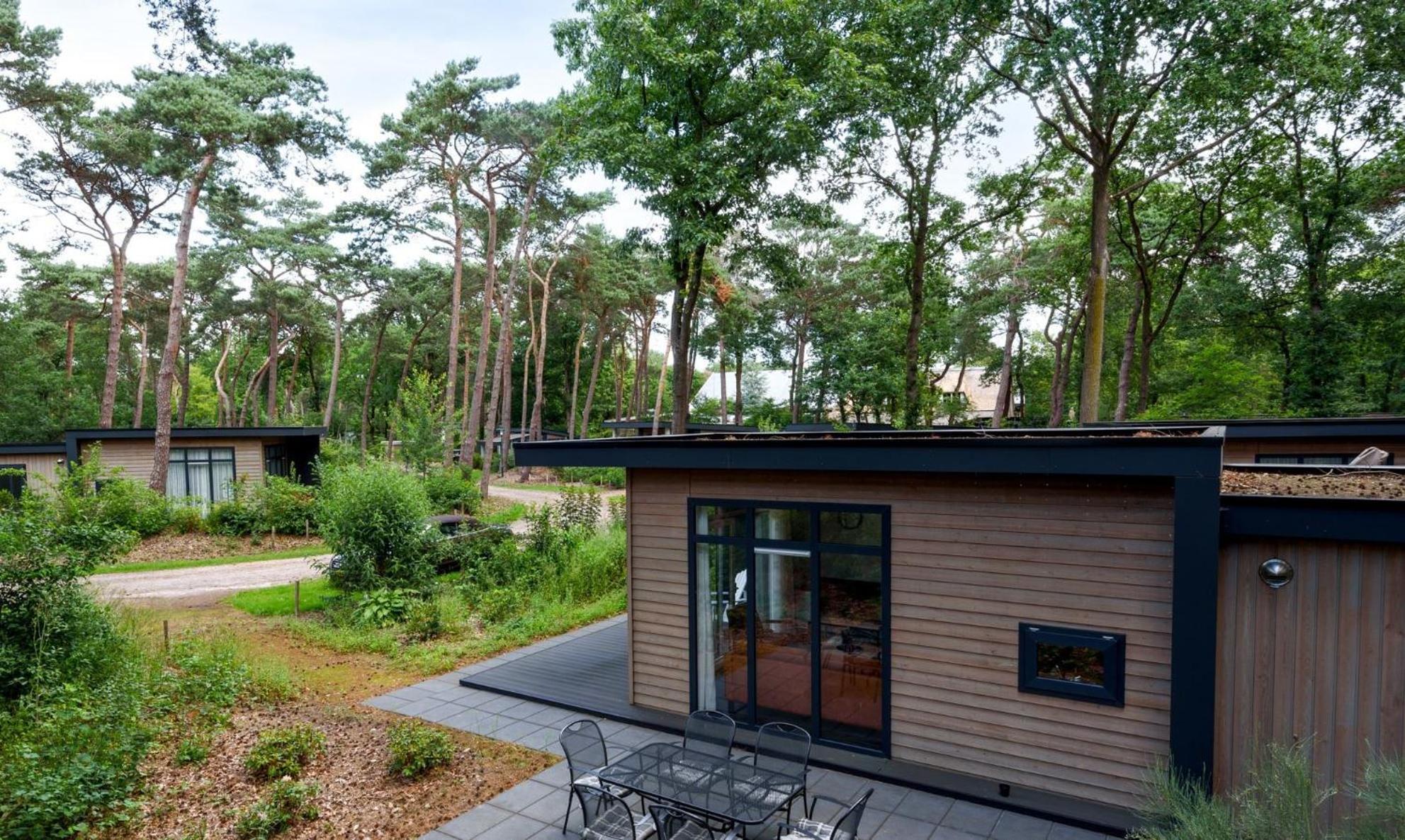 Forestlodge in het Vechtdal - 5 persoons view 4