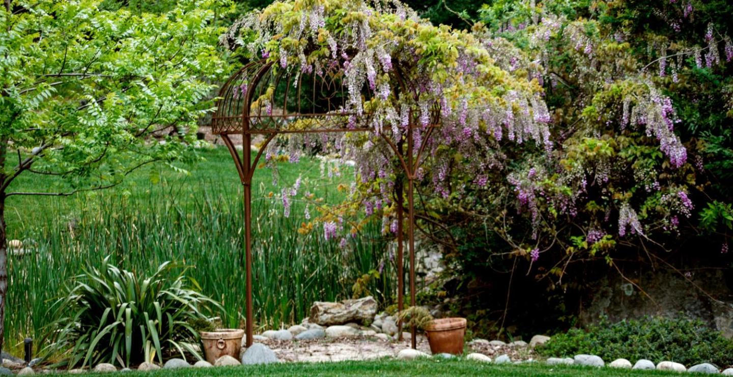 Bella Vista Bed and Breakfast