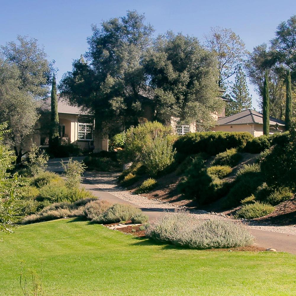 Bella Vista Bed and Breakfast