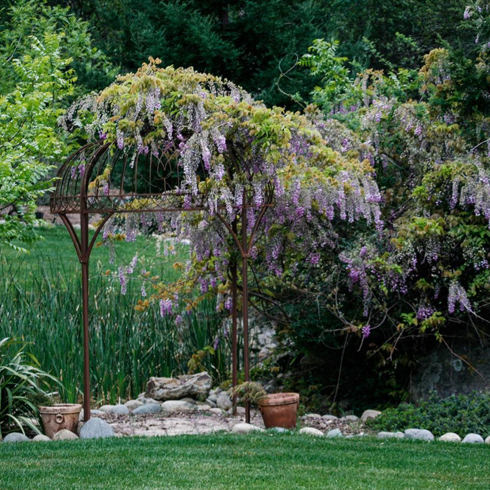 Bella Vista Bed and Breakfast