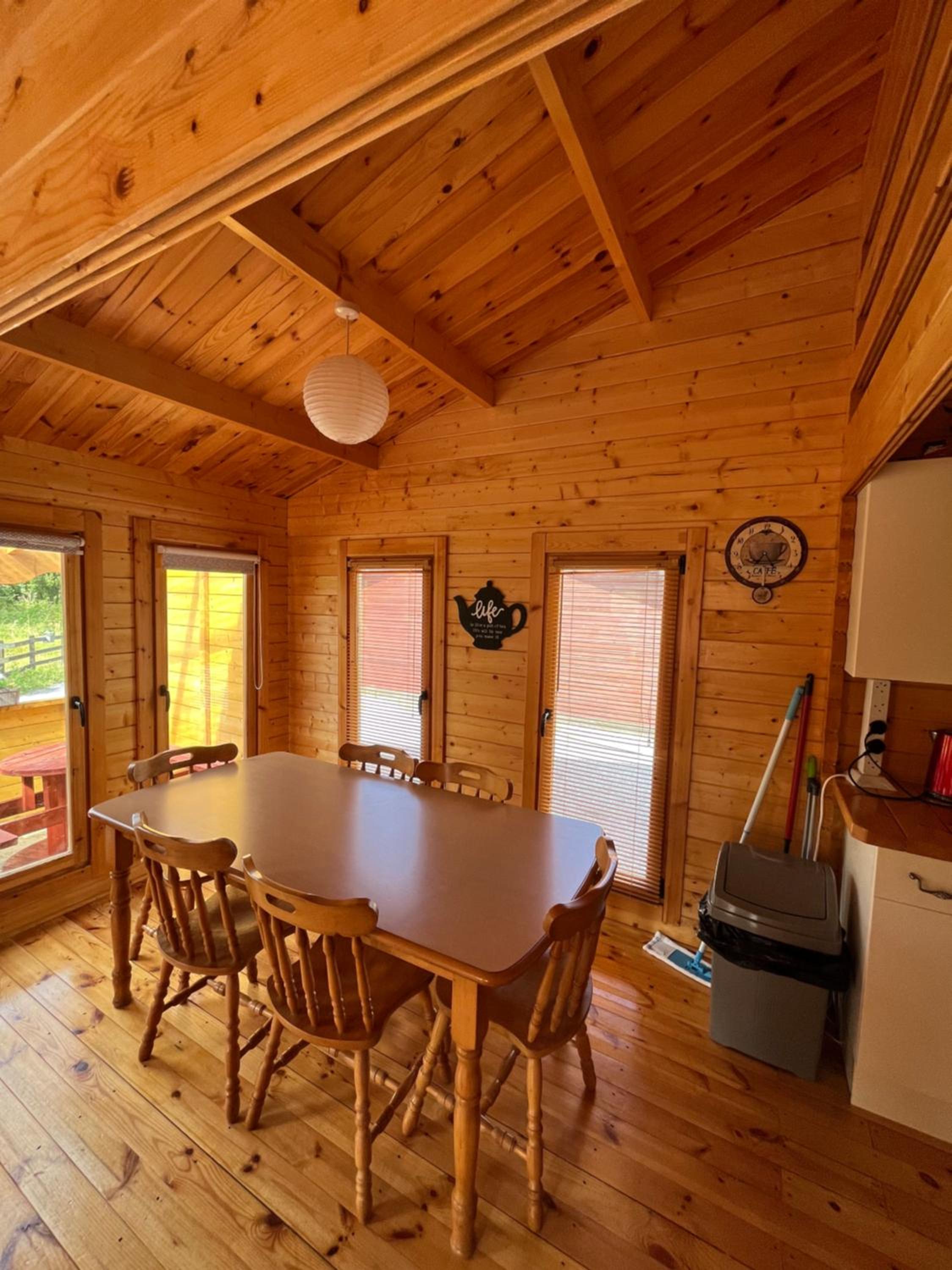 Red Robin Nest view 4