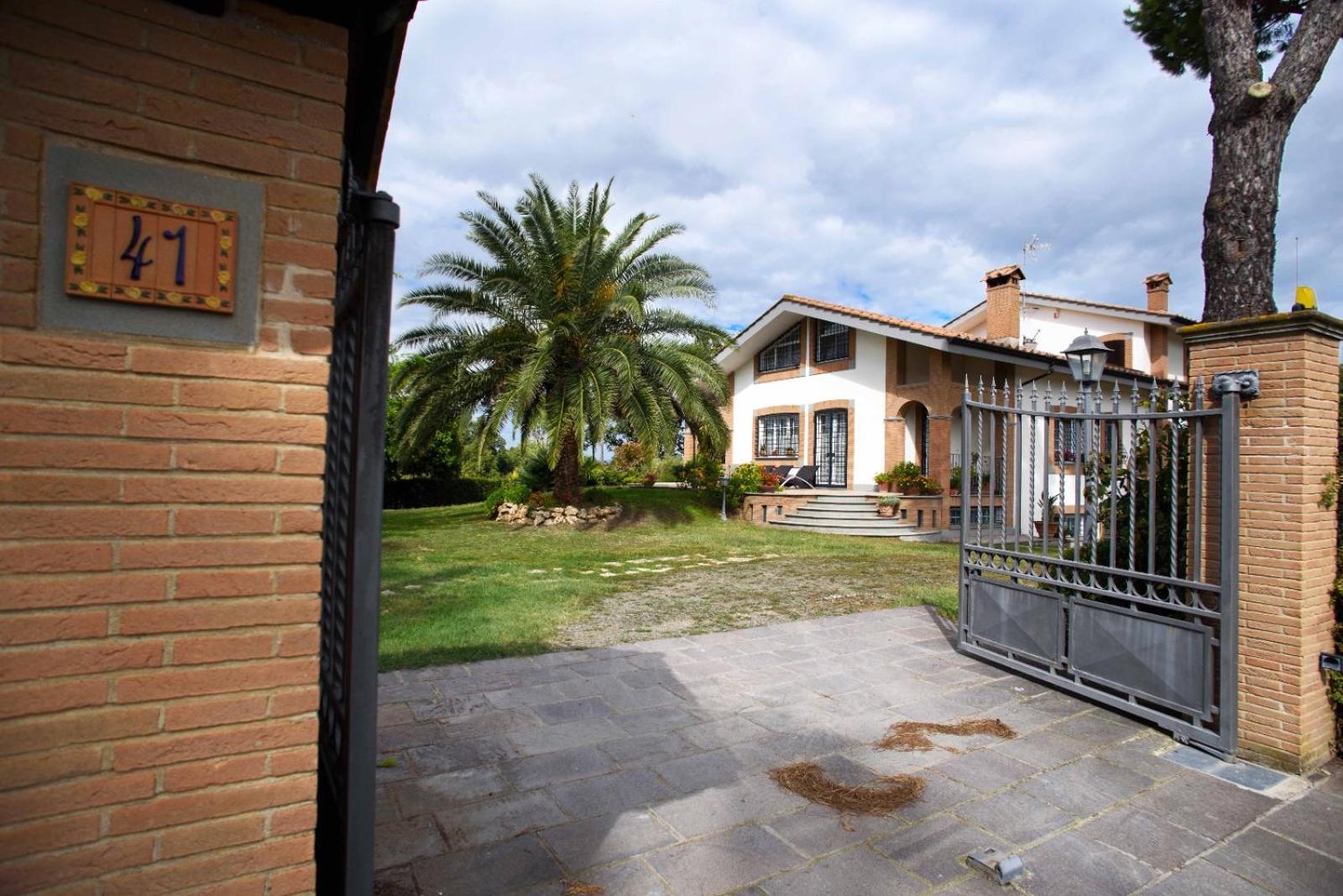 Corbezzolo