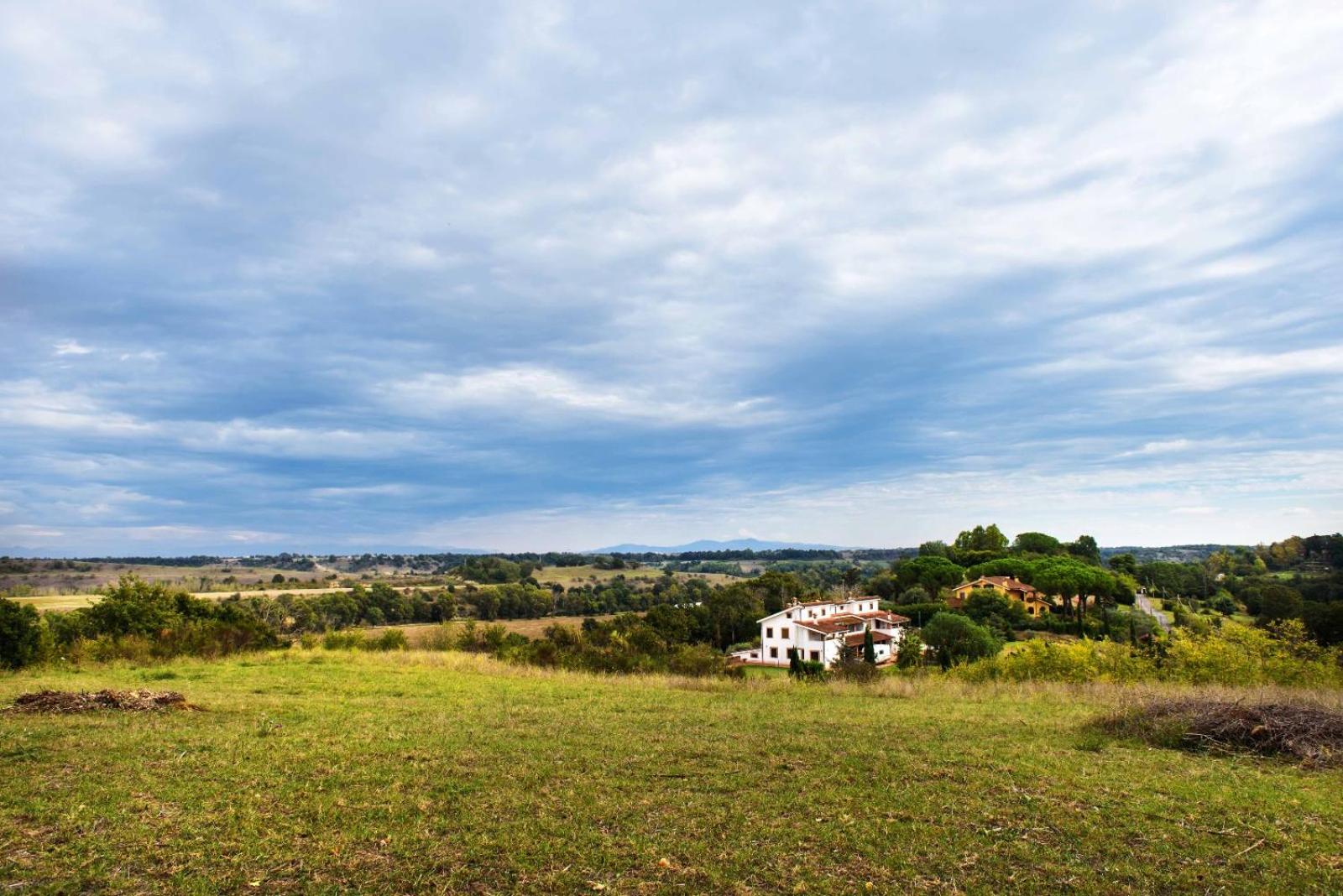 Corbezzolo