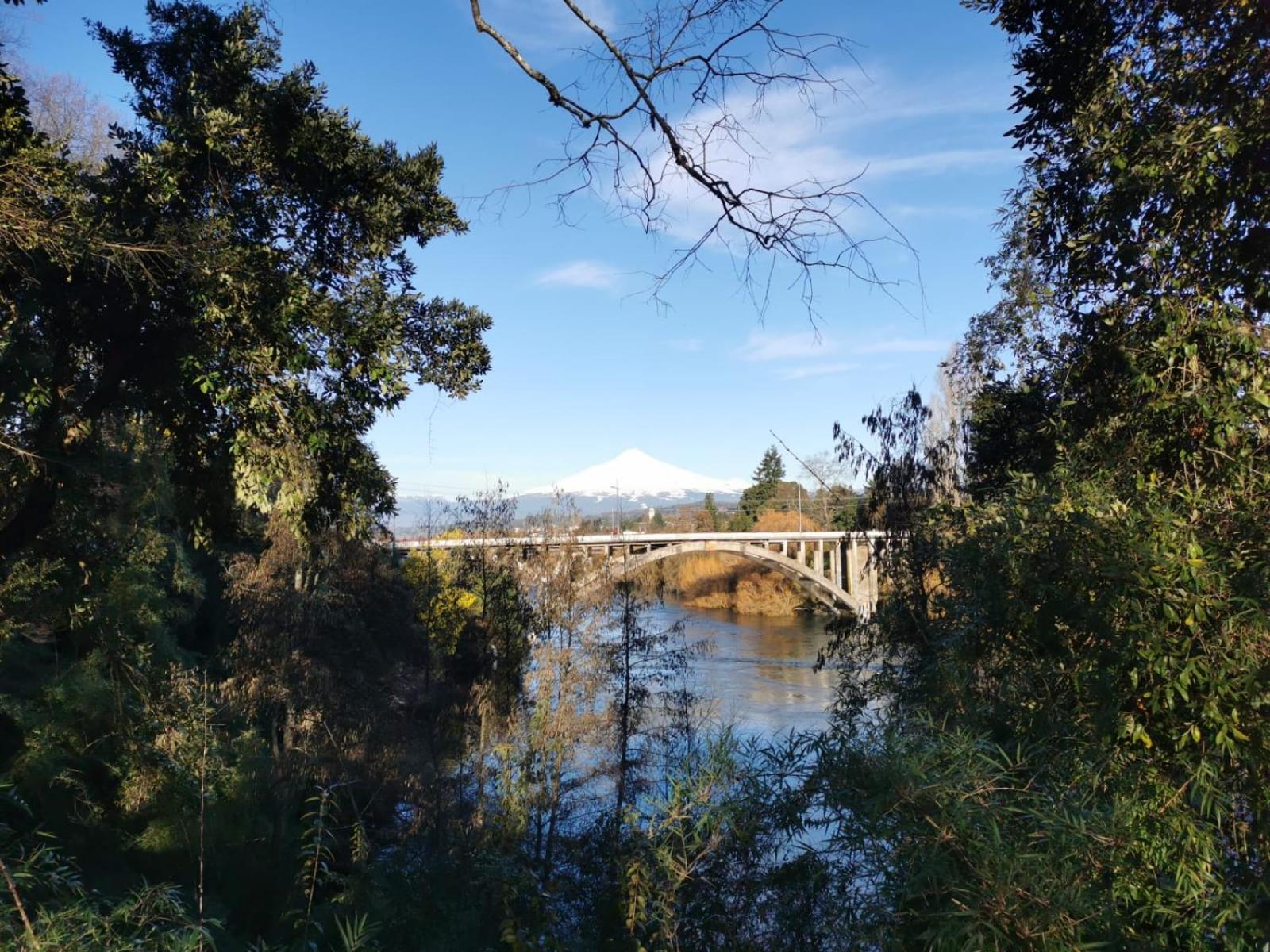 Kimün Rise Cabaña Céntrica Villarrica