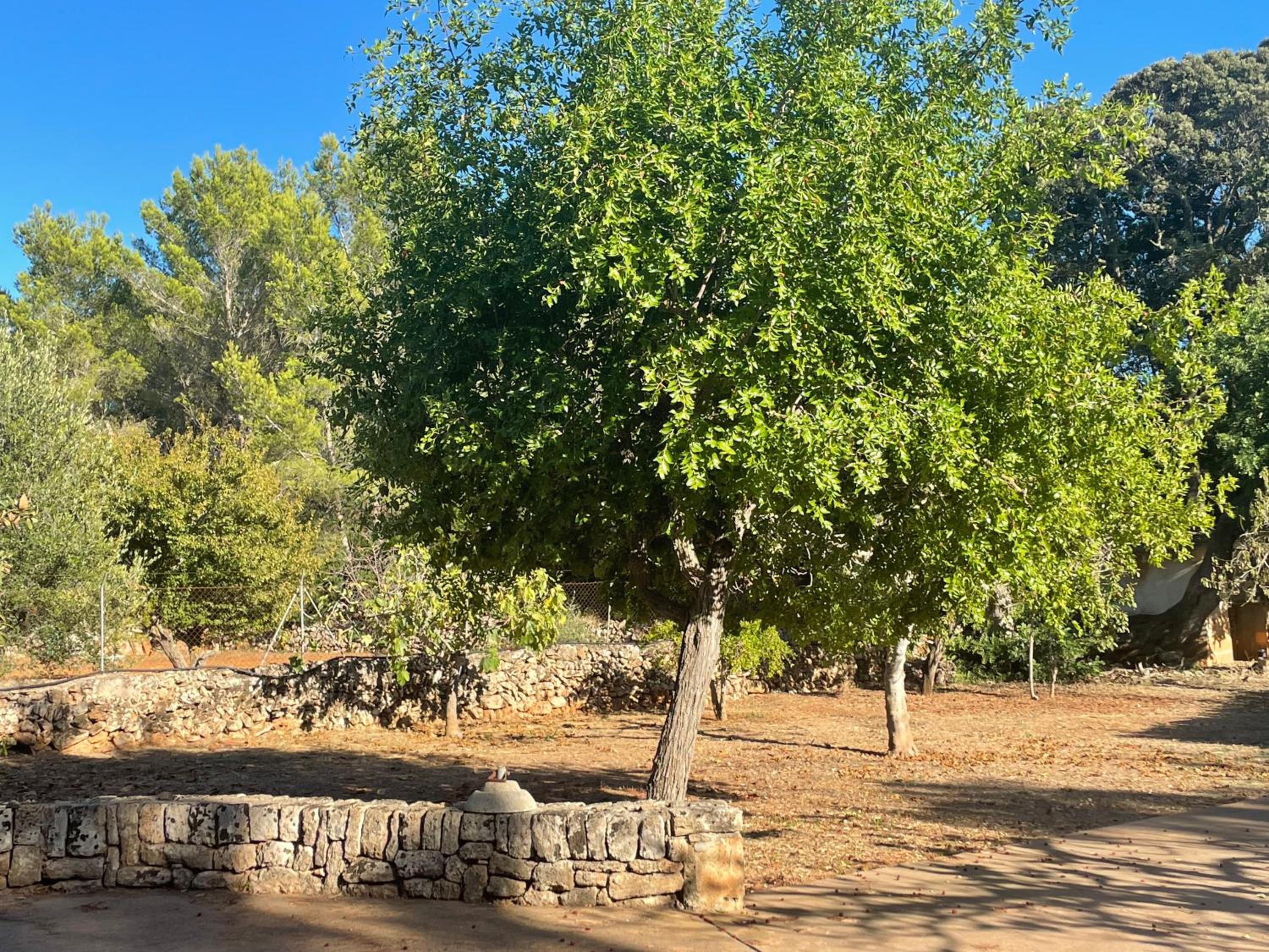 Wunderschöne Finca Alcudia mit Wlan und Heizung