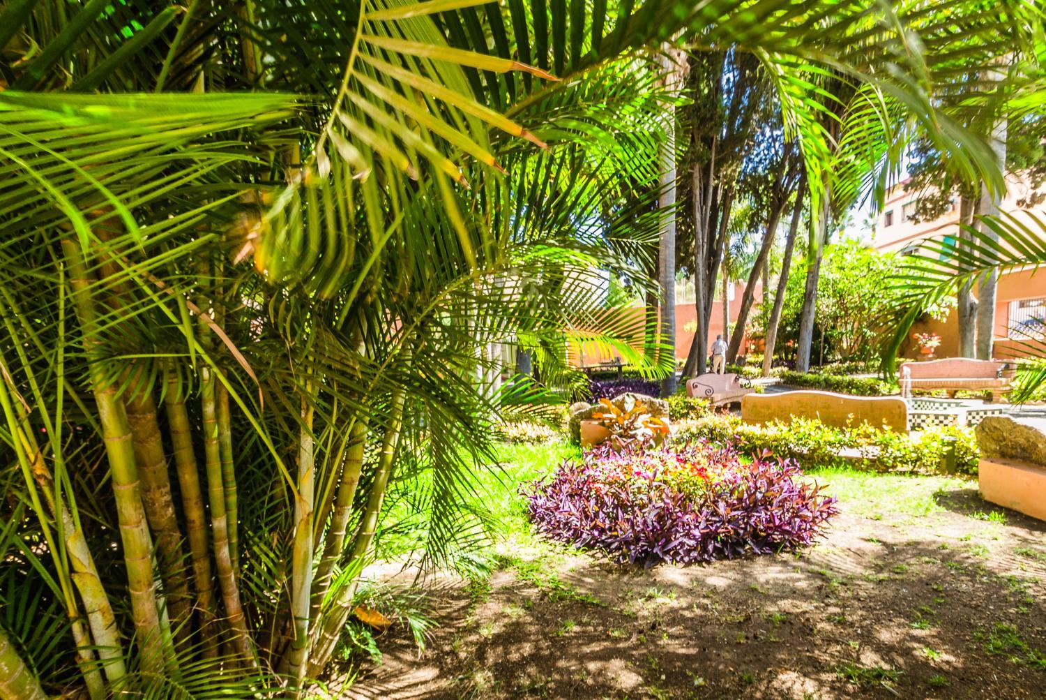 Hostal Tropical