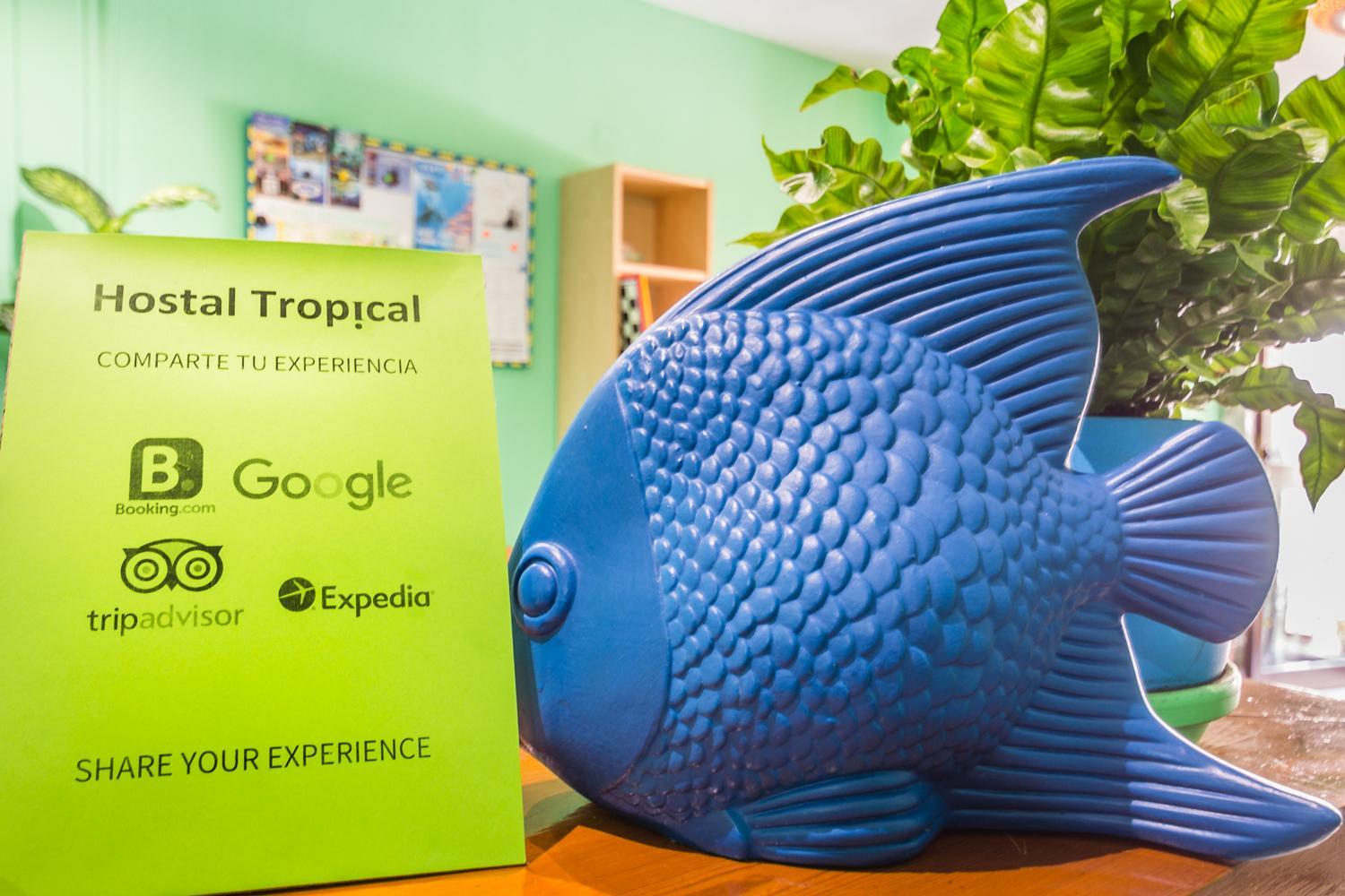 Hostal Tropical