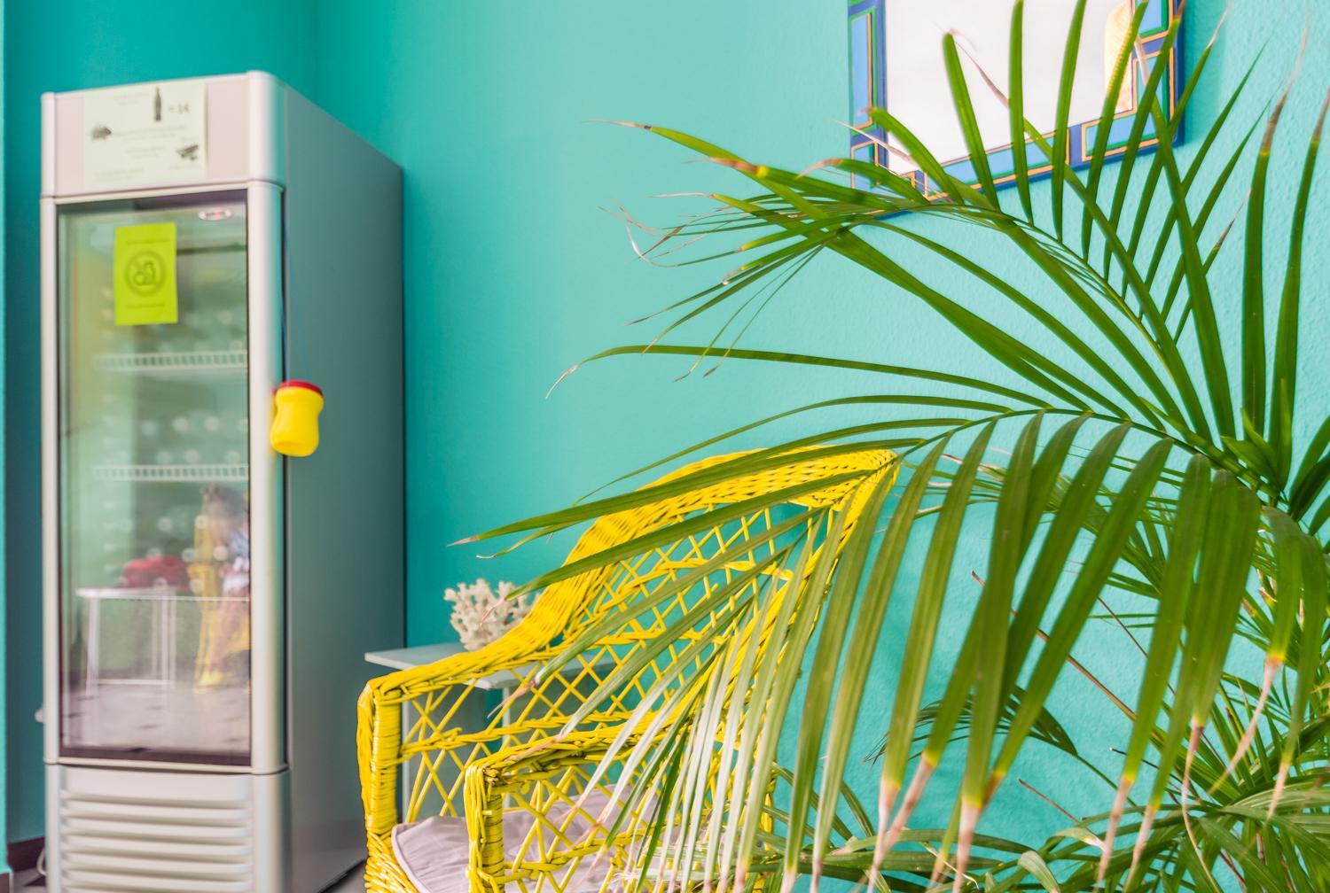 Hostal Tropical, photo 57