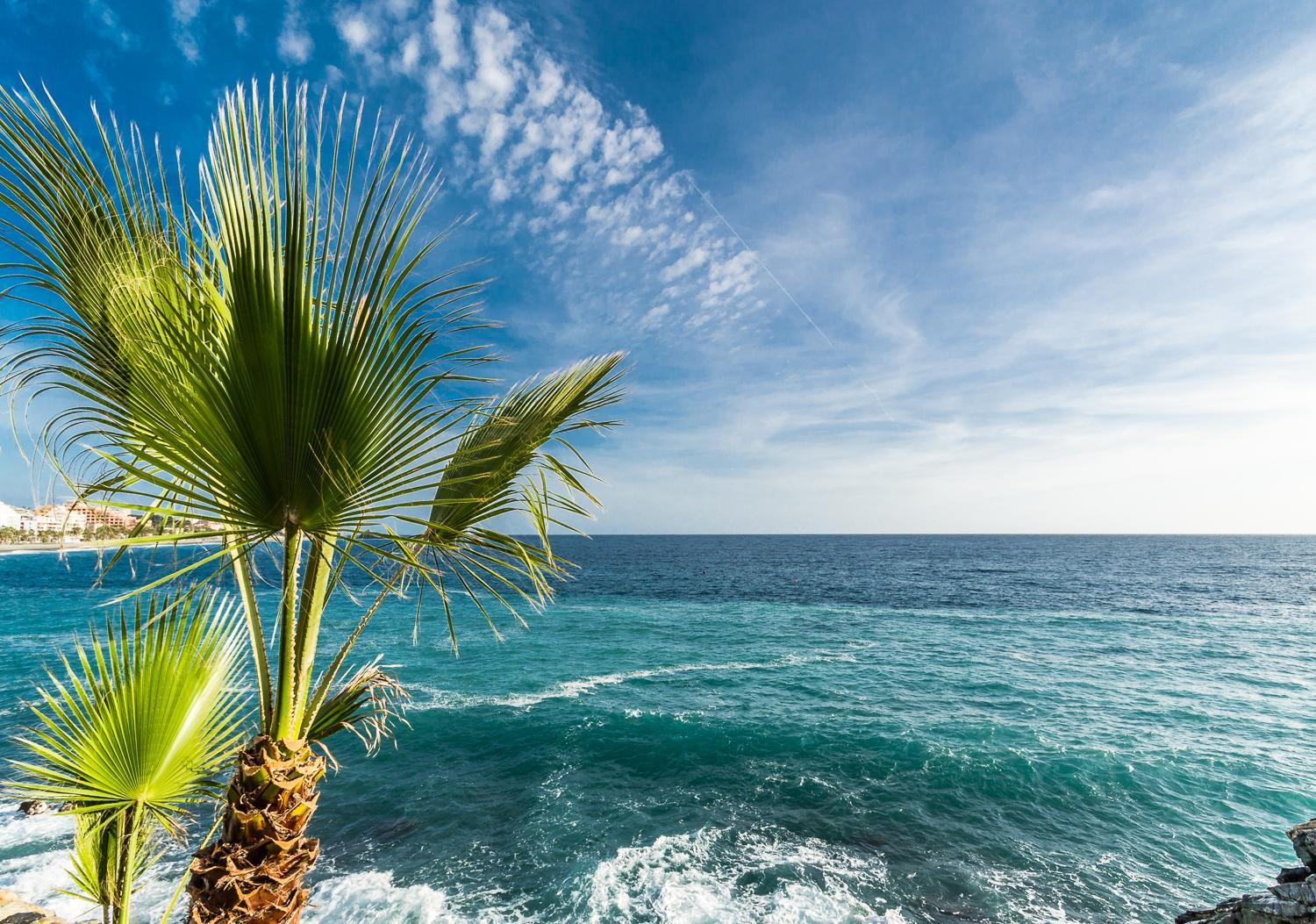 Hostal Tropical