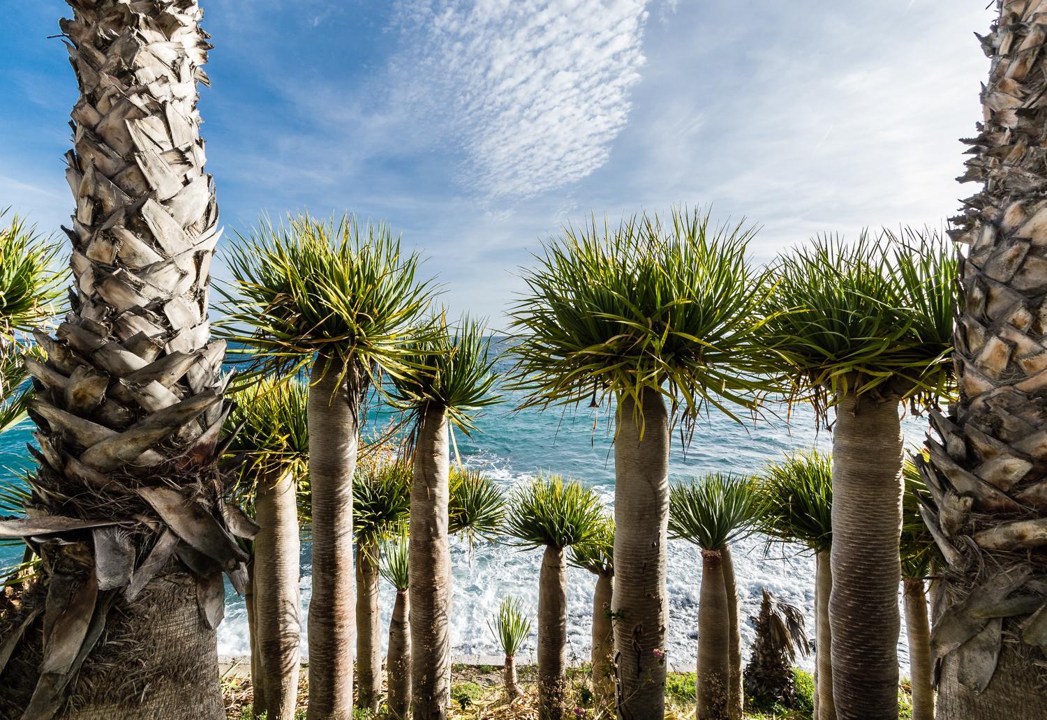 Hostal Tropical