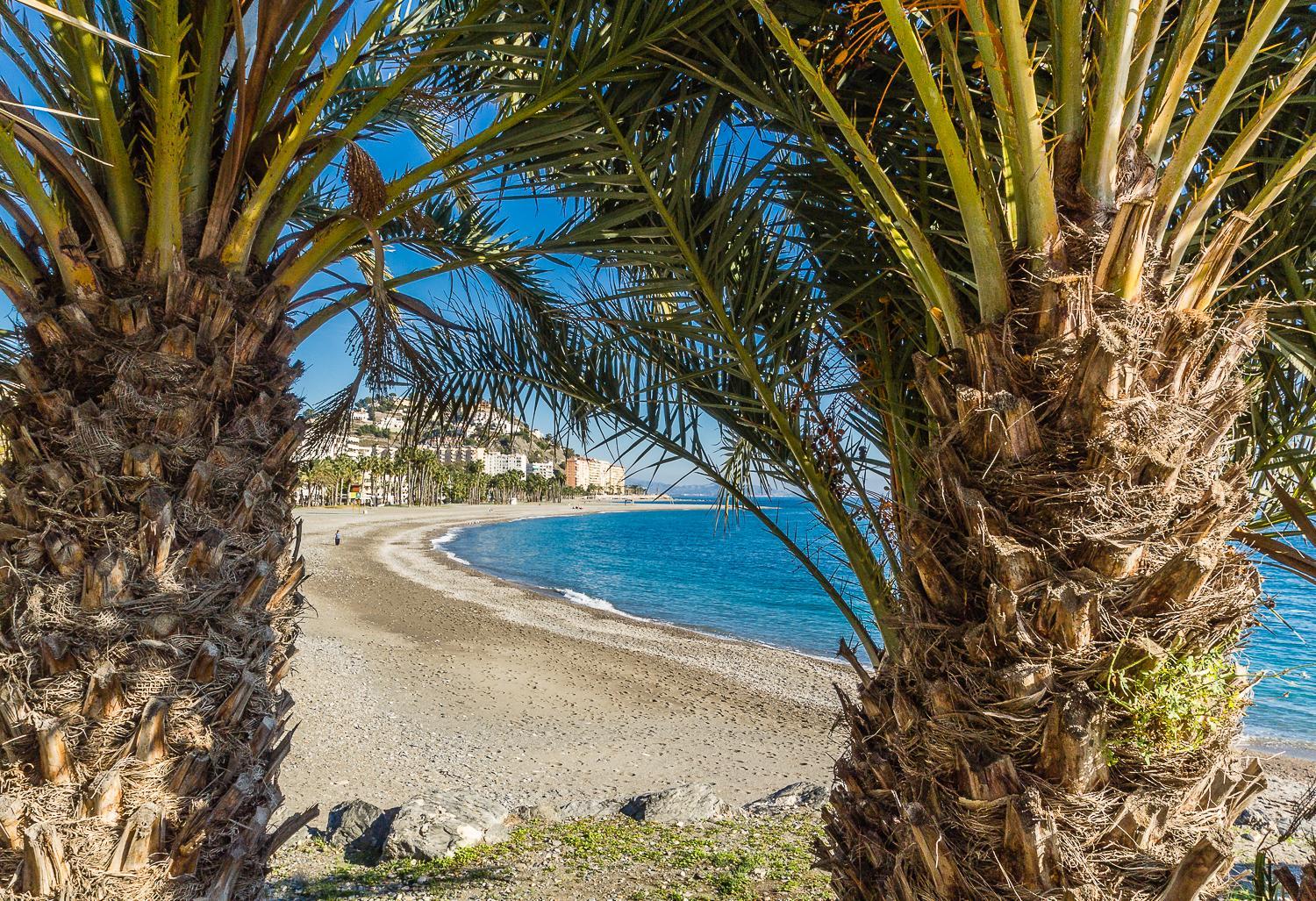Hostal Tropical, photo 16