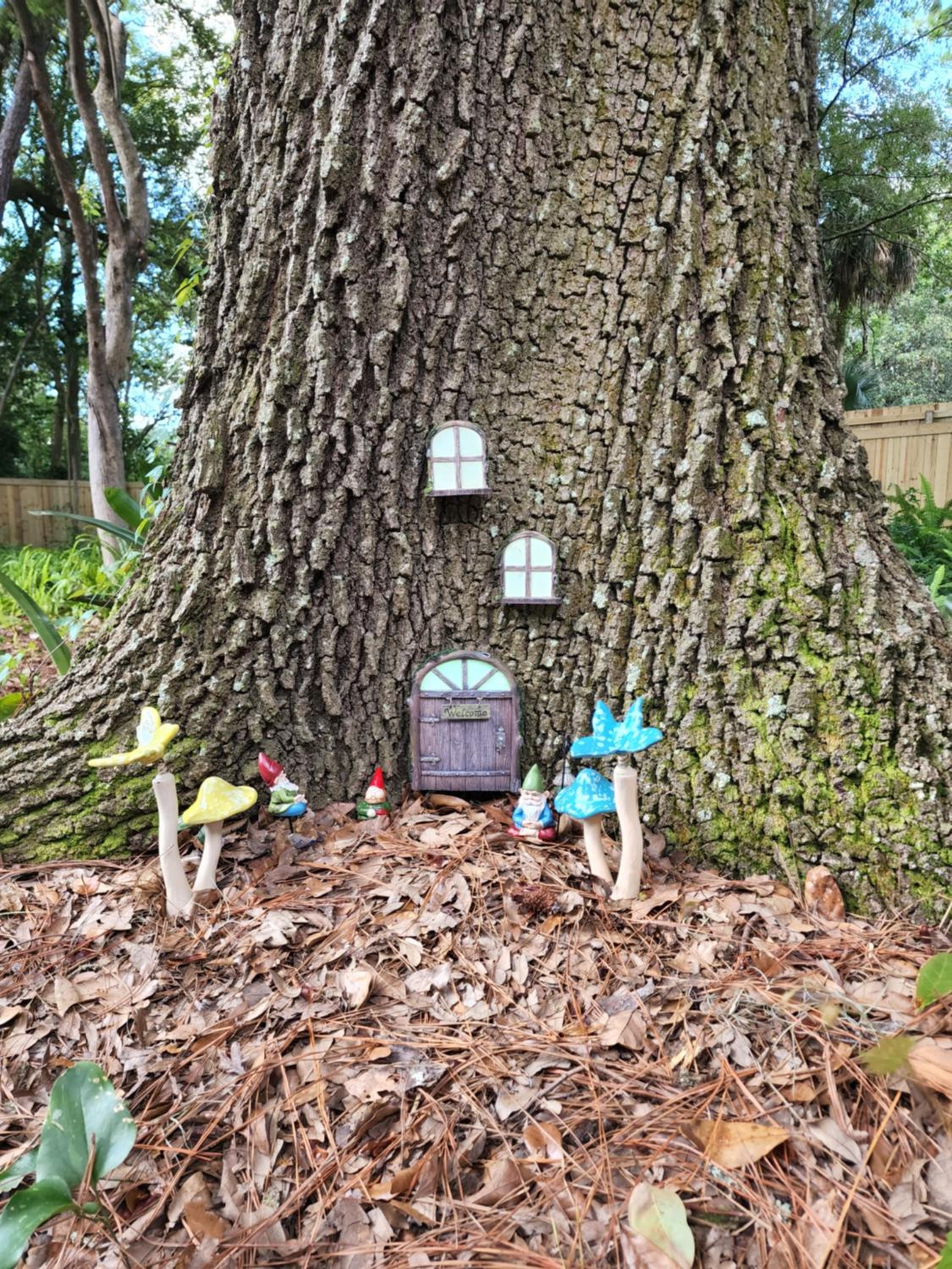 Cozy Hideaway in the Duck Pond area of Gainesville view 2