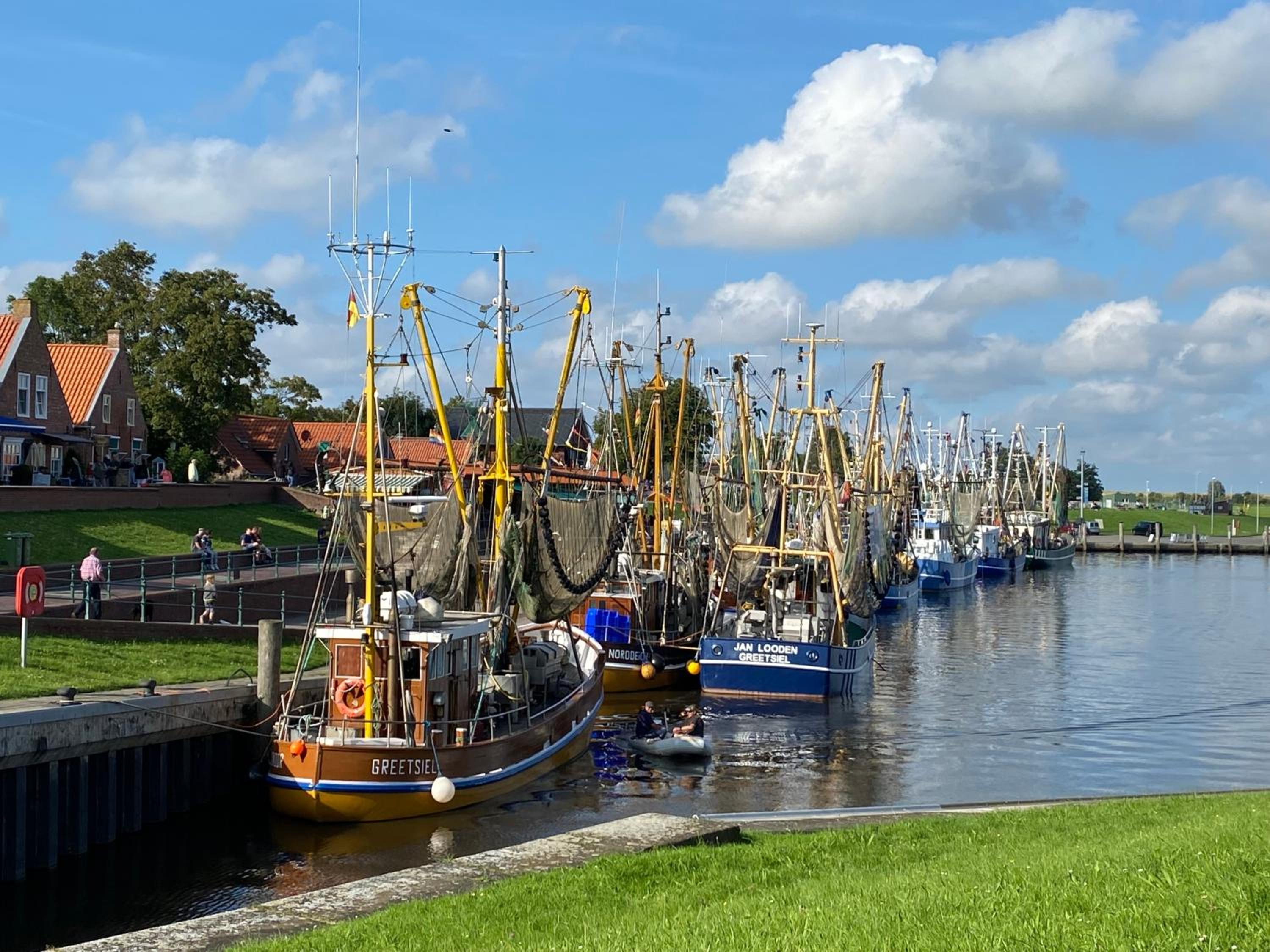 Boje