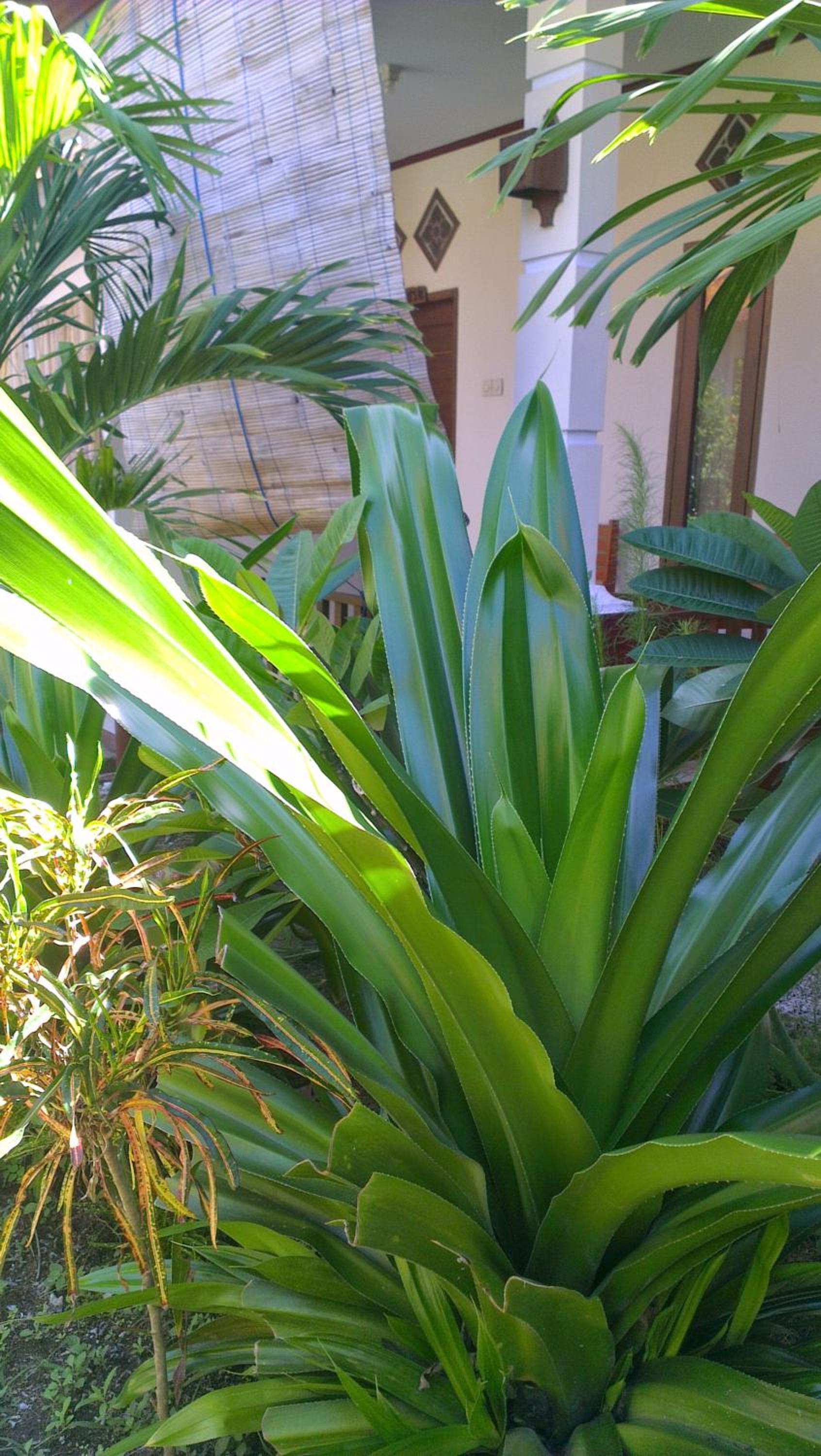 Photo 15