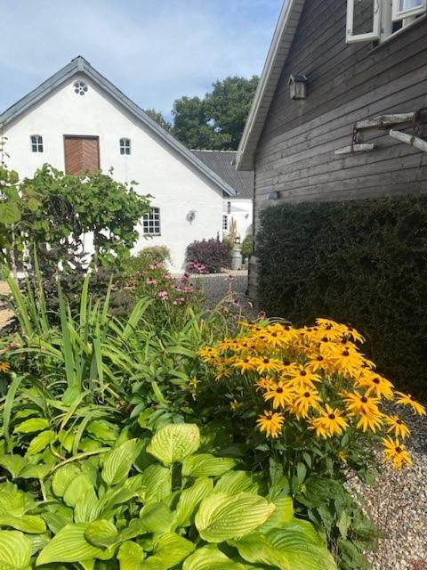 Guldforhoved B&B