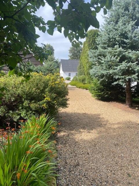 Guldforhoved B&B