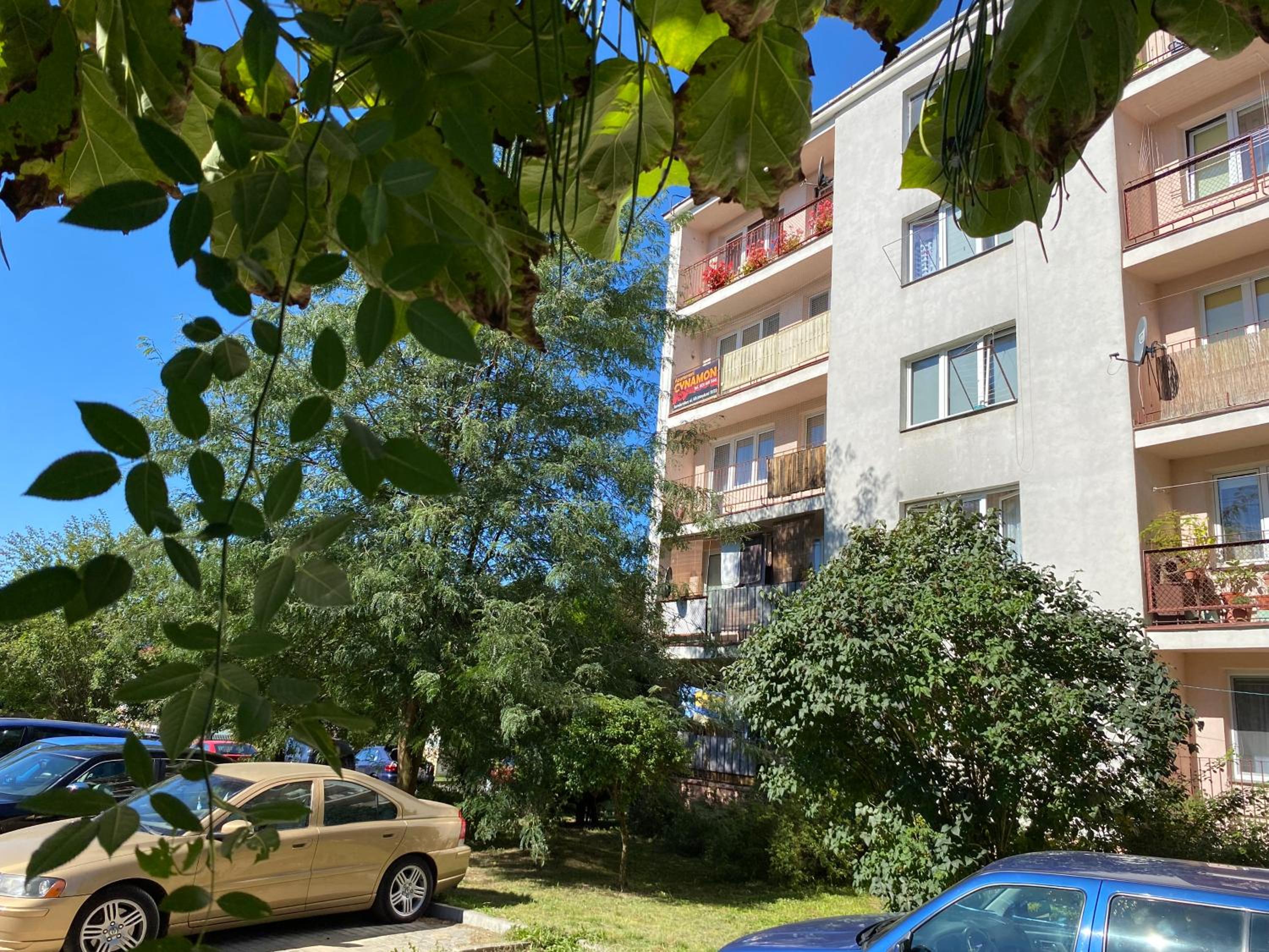 Apartament Cynamon view 4