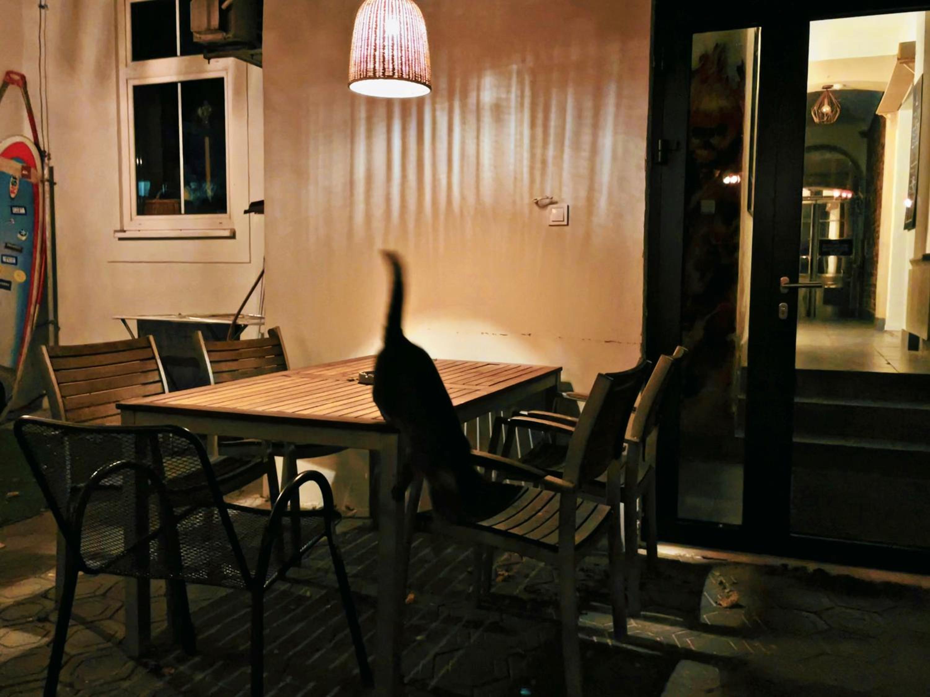 Boutique Apartments Possonium