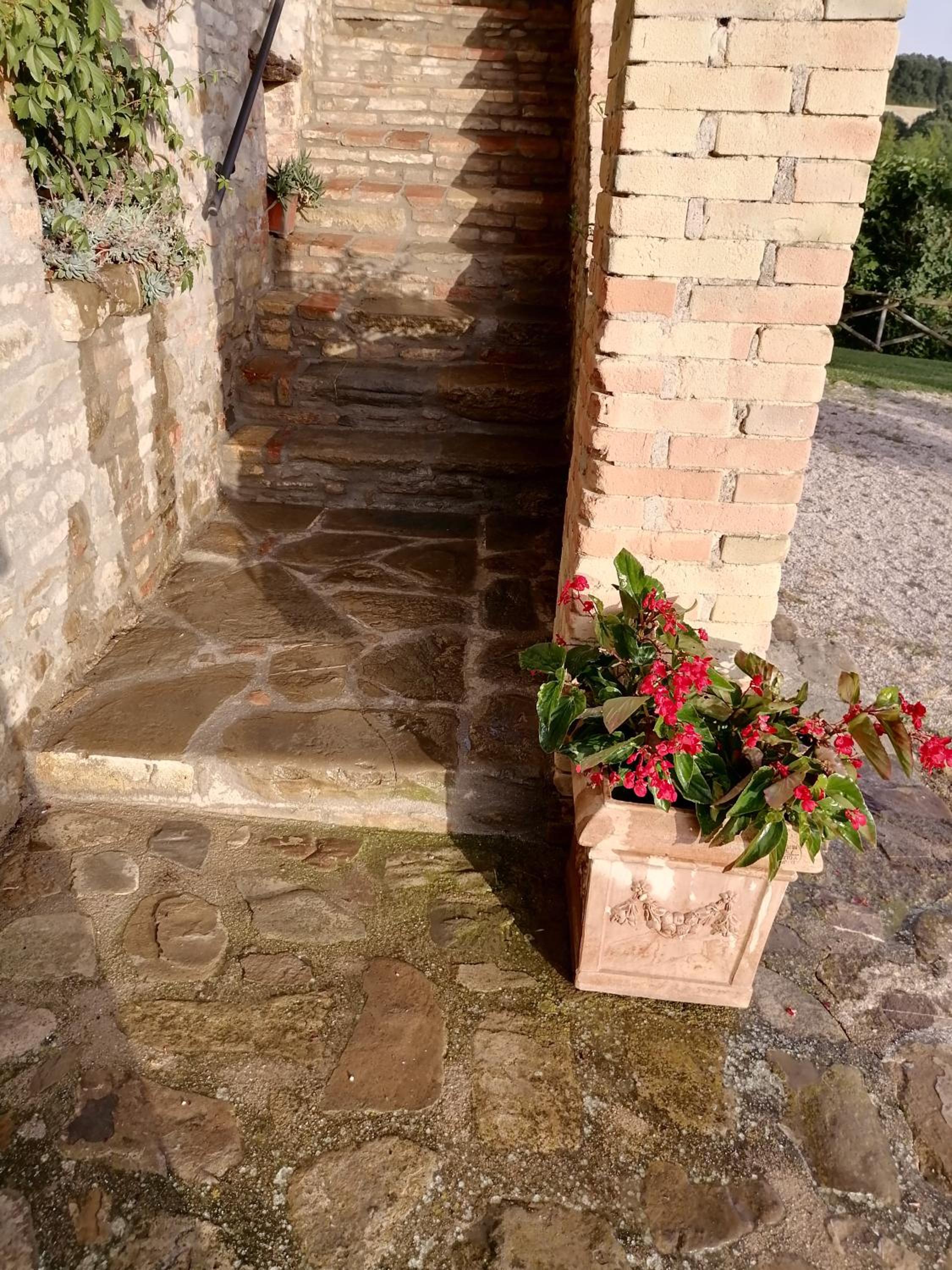 Fattoria di Rigone
