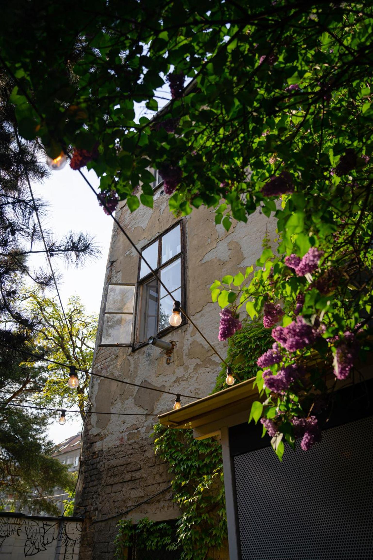 Boutique Apartments Possonium