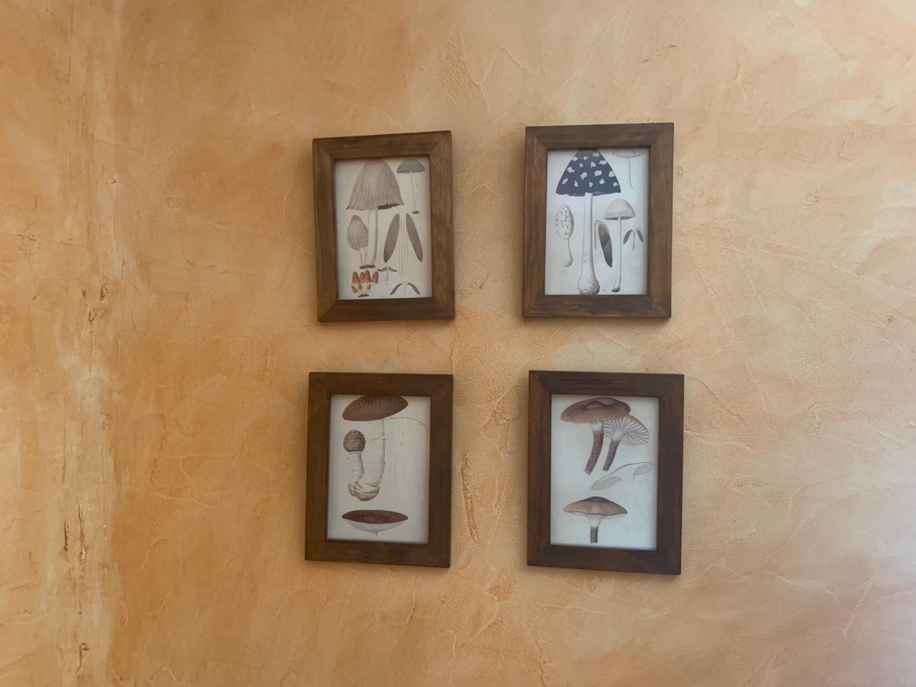Casa del Plantel