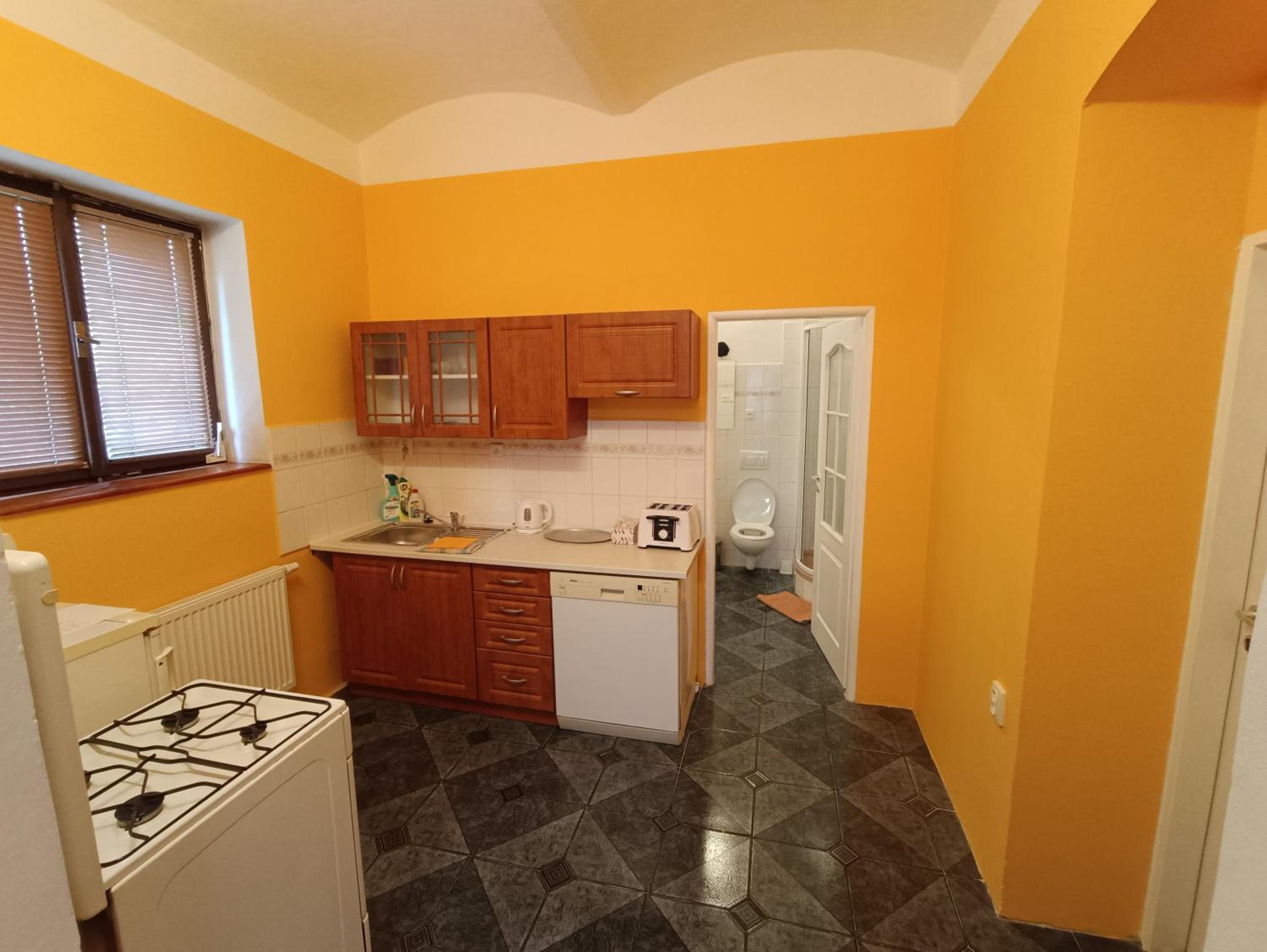 Apartmán Horní Slavkov Hodinářství