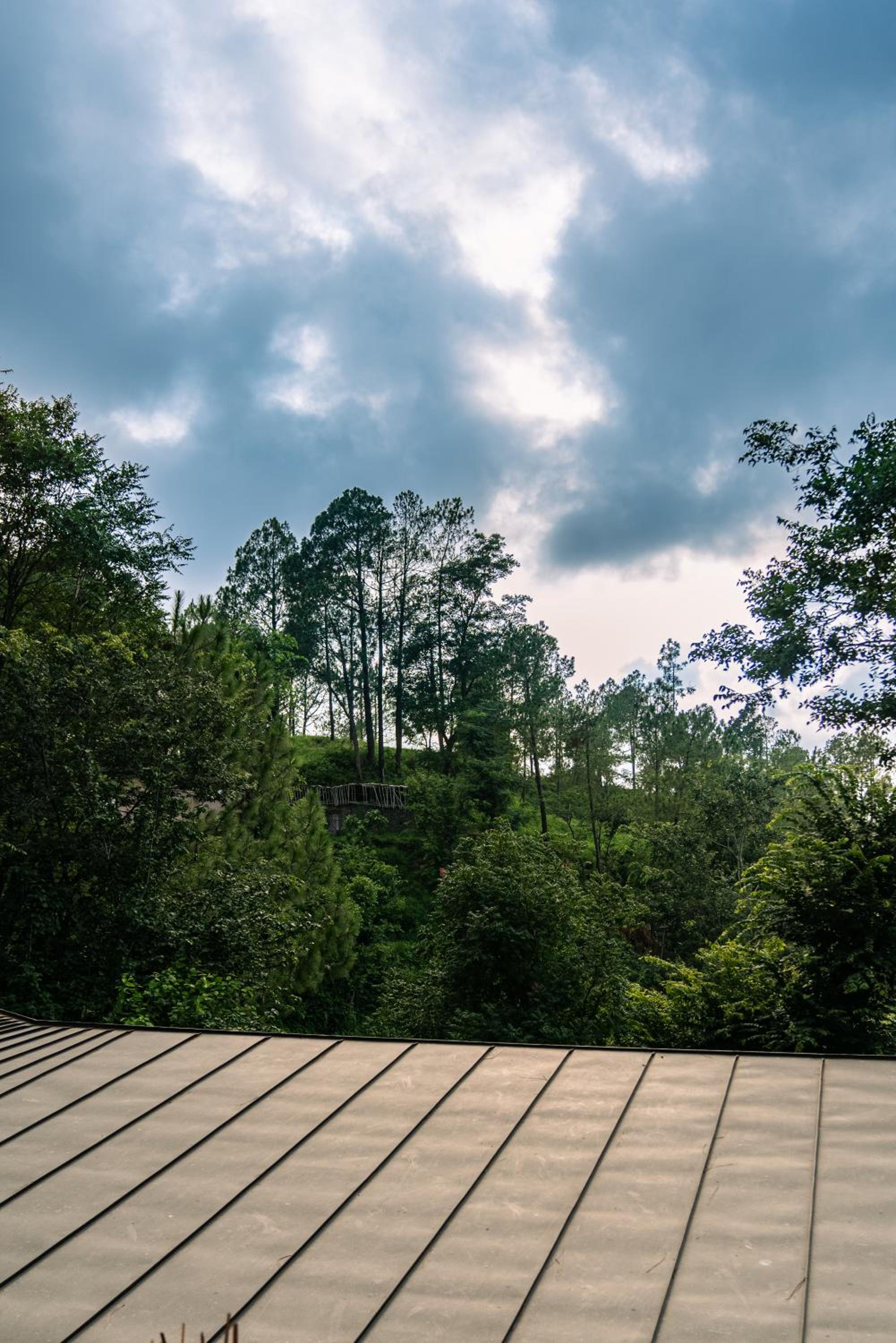 Amaya Kasauli