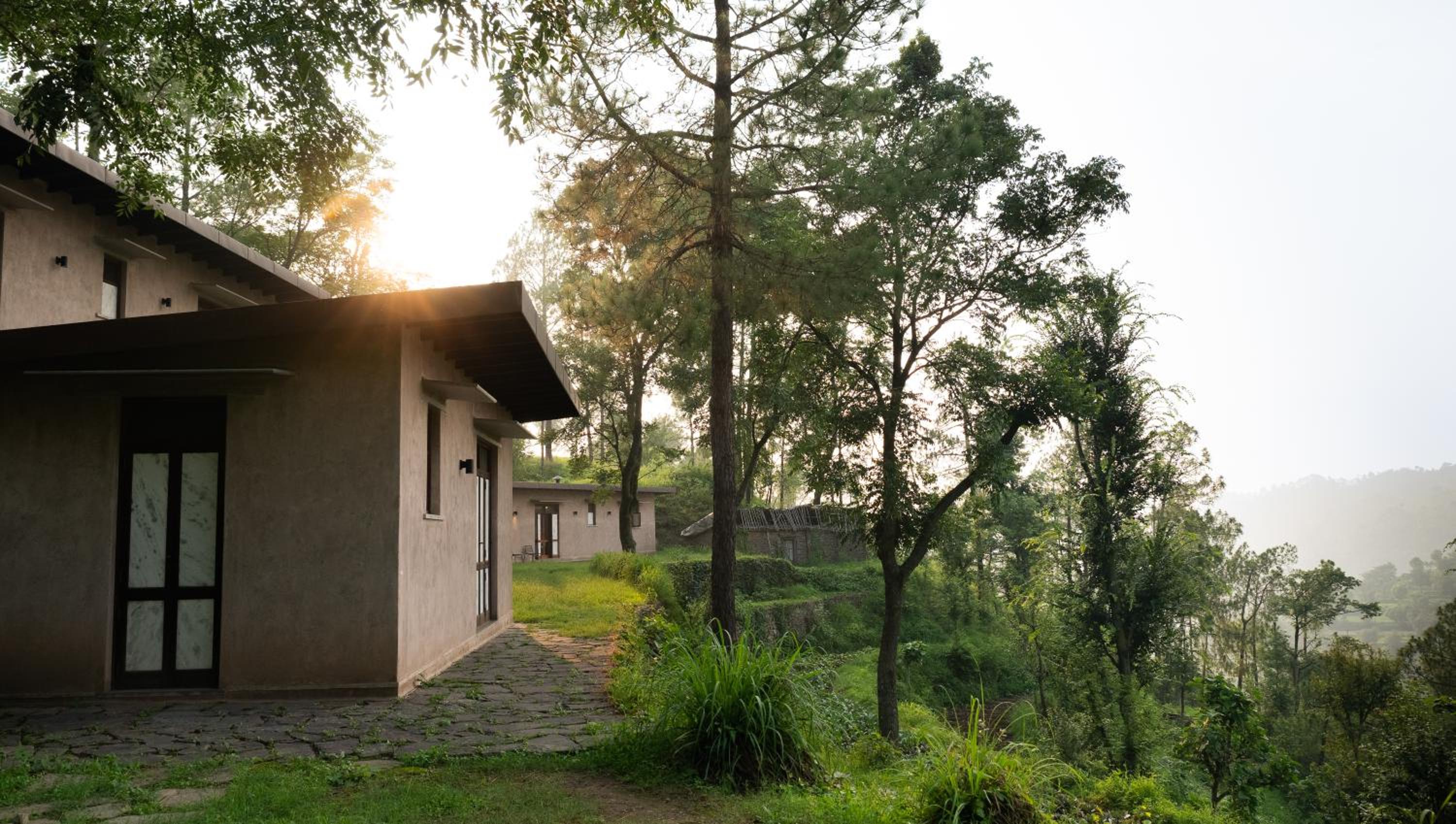 Amaya Kasauli